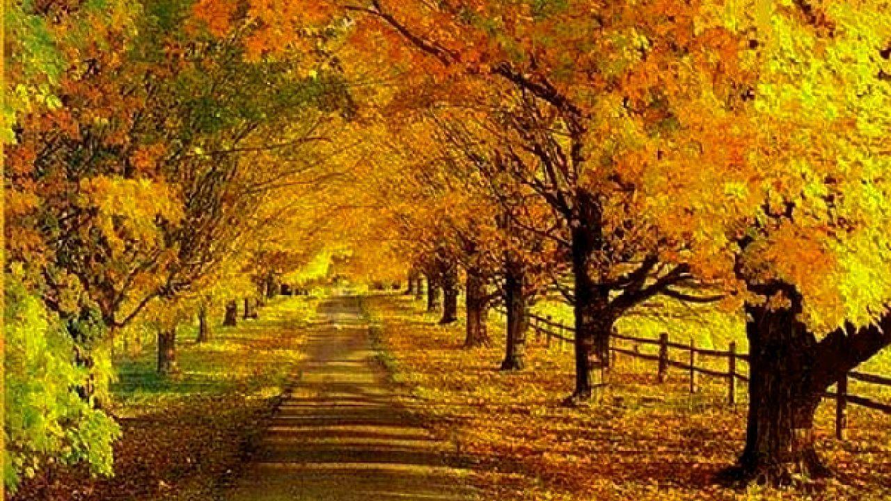 Autumn Scenes Desktop Wallpapers - Top Free Autumn Scenes Desktop ...
