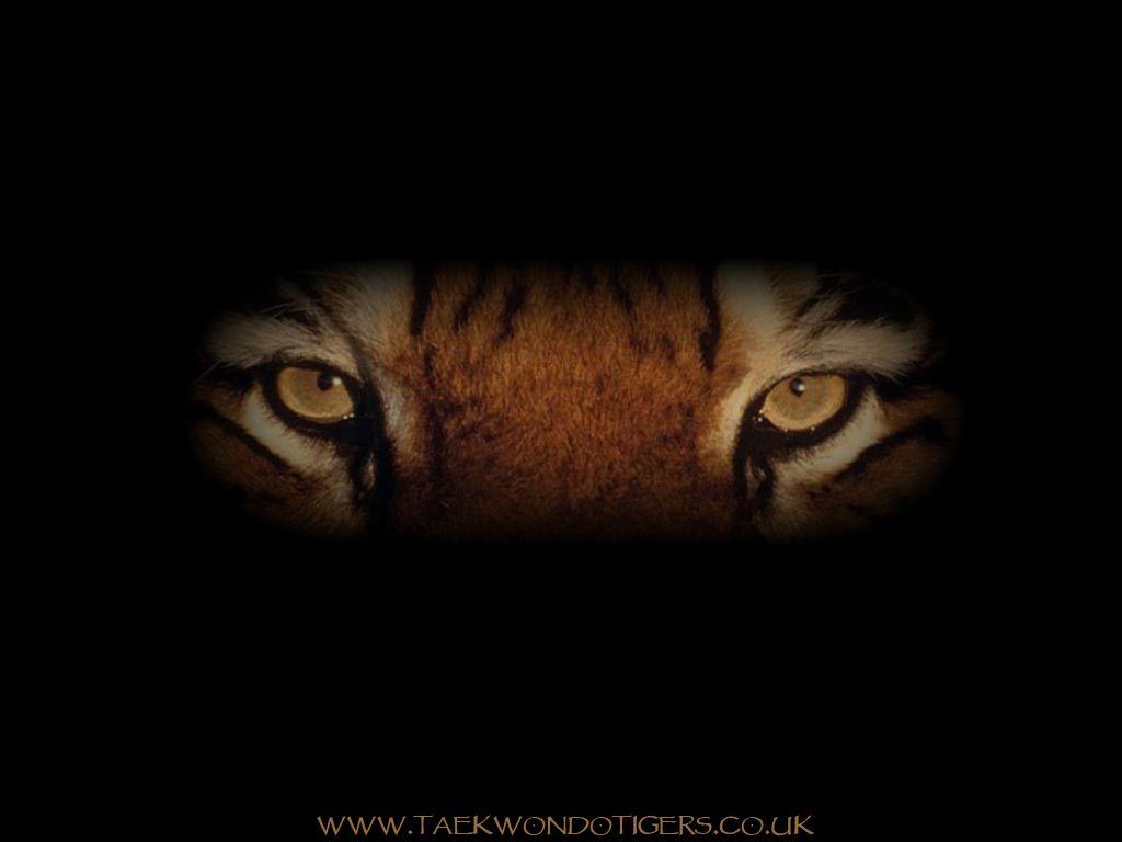 1024x768 trololo blogg: Wallpaper Tkd