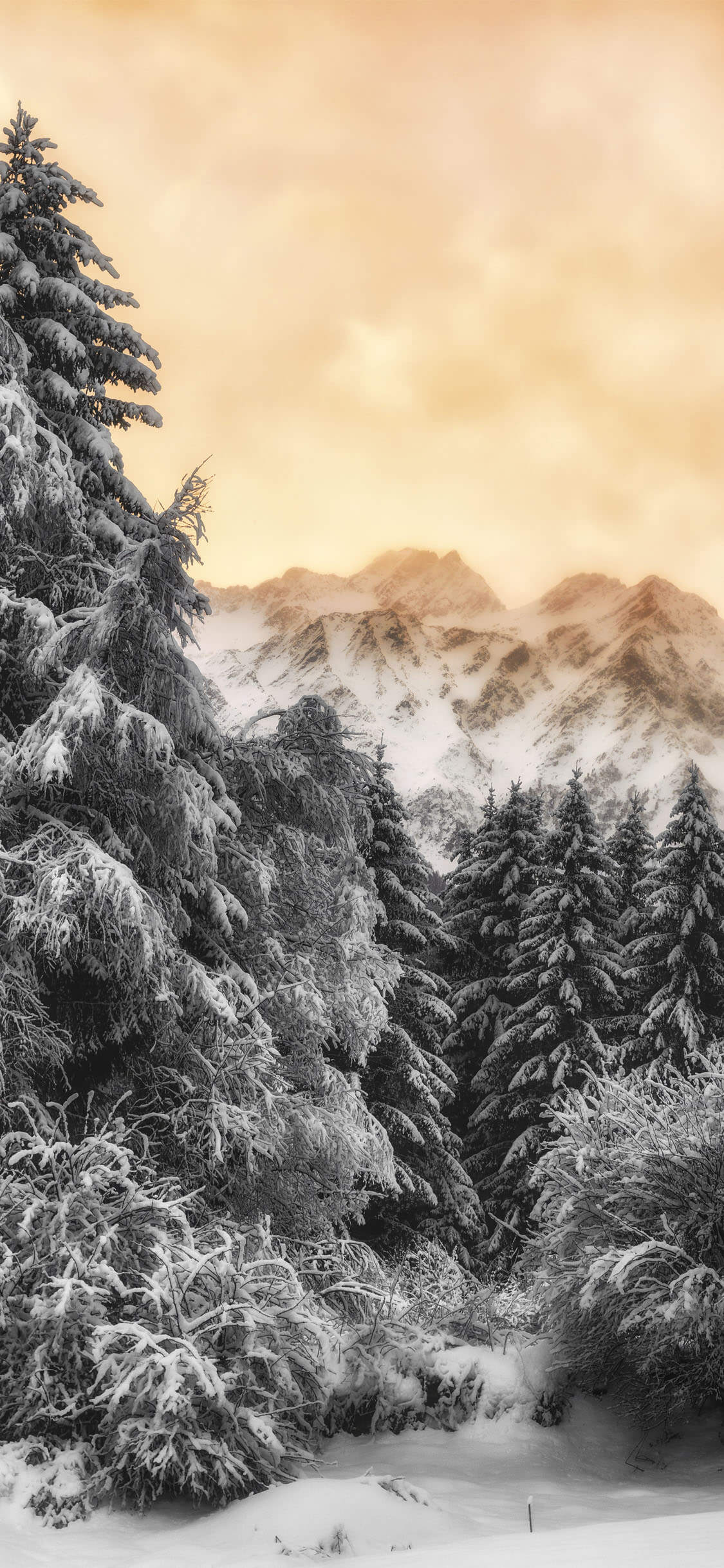 1125x2436 Stunning iPhone XS Wallpaper & Background in HD