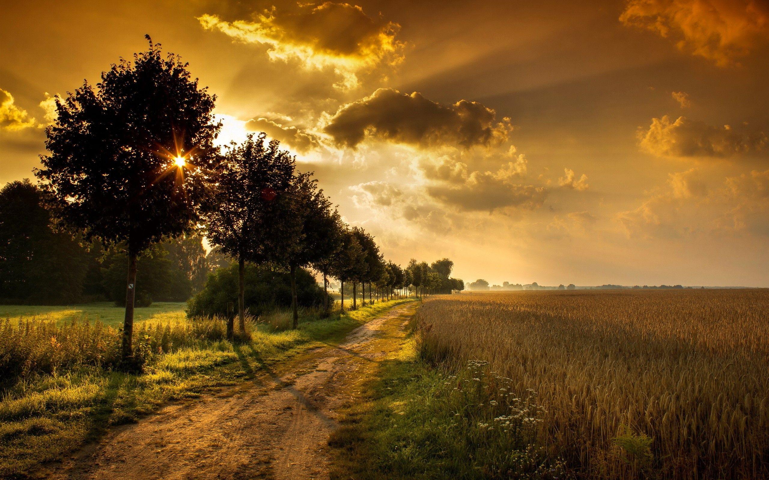 2560x1600 autumn scenes