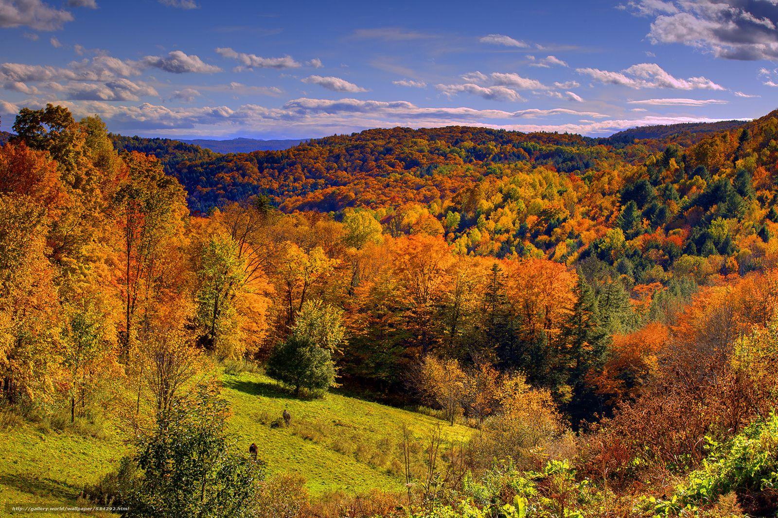 1600x1067 Vermont Autumn Background Wallpaper