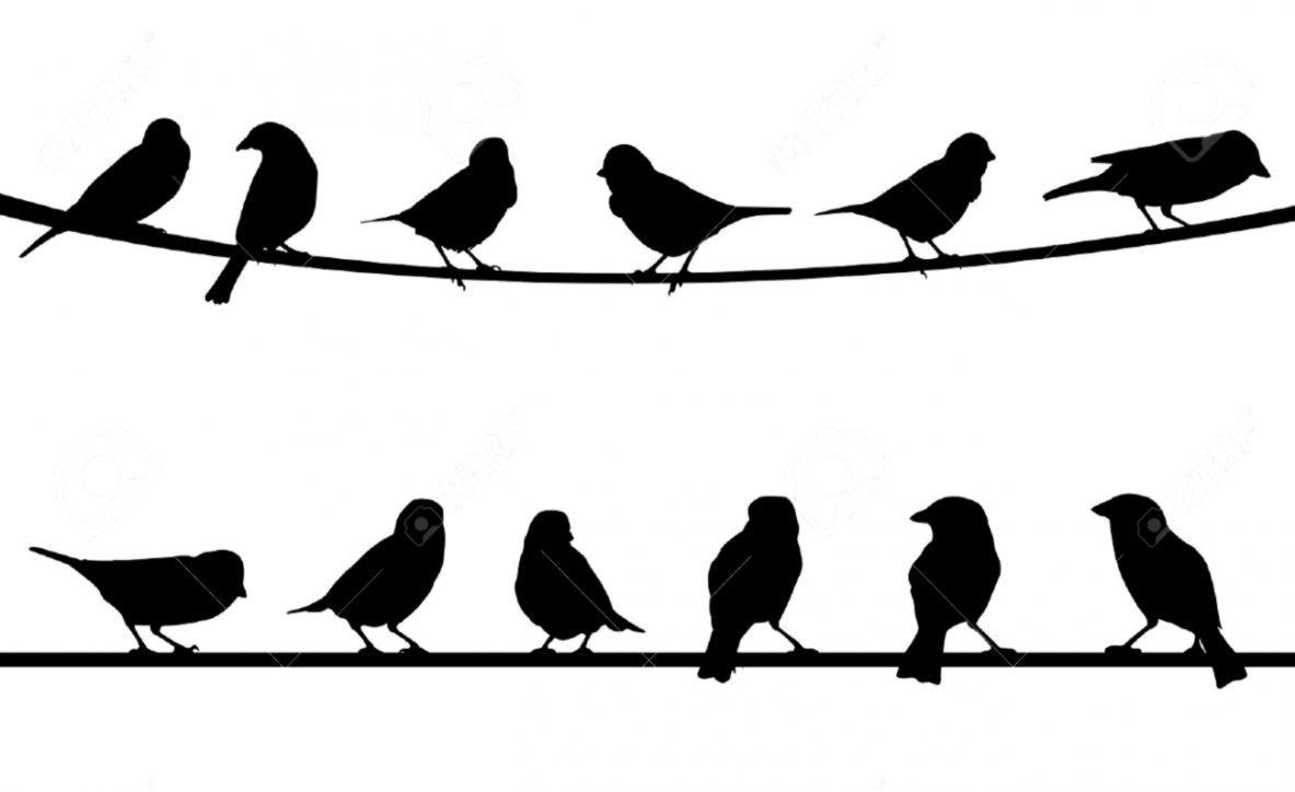 1183x724 Two Birds On A Wire Silhouette