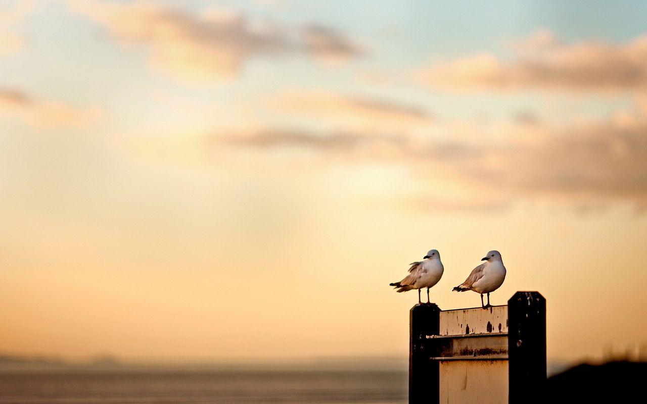 1280x800 HD Tumblr Wallpaper