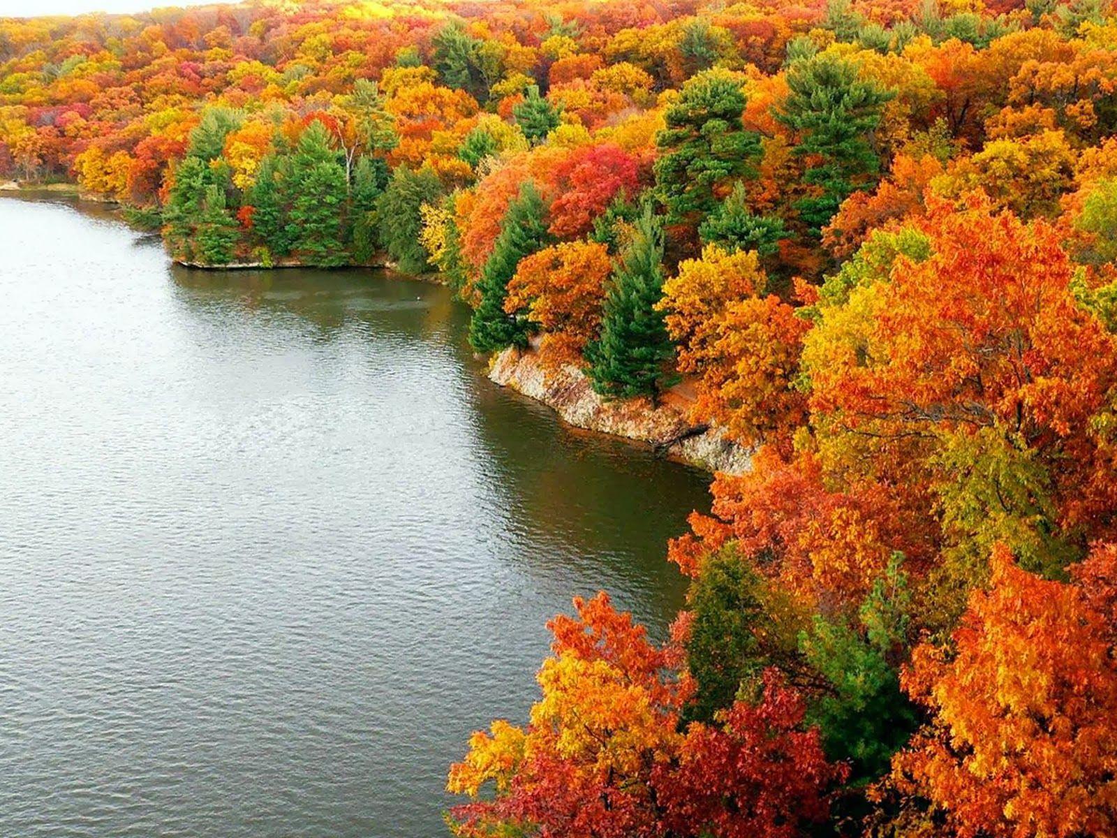 1600x1200 Free download Desktop Wallpaper Autumn Scenery Desktop