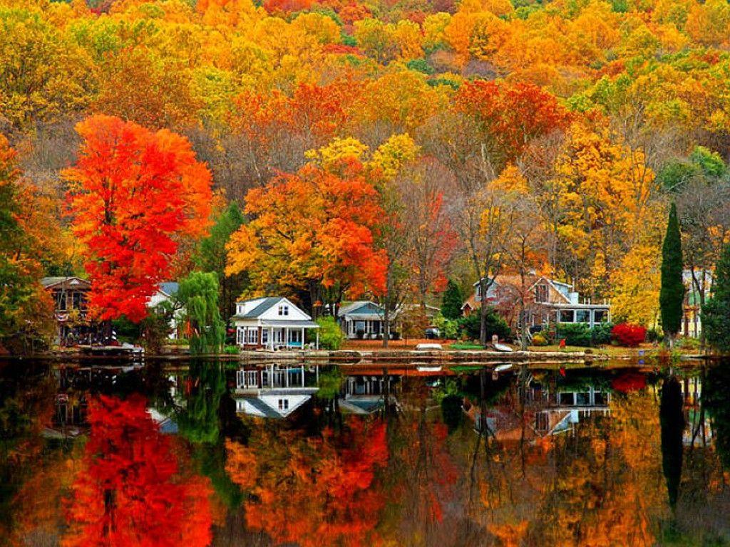 1024x768 Fall Image Wallpaper