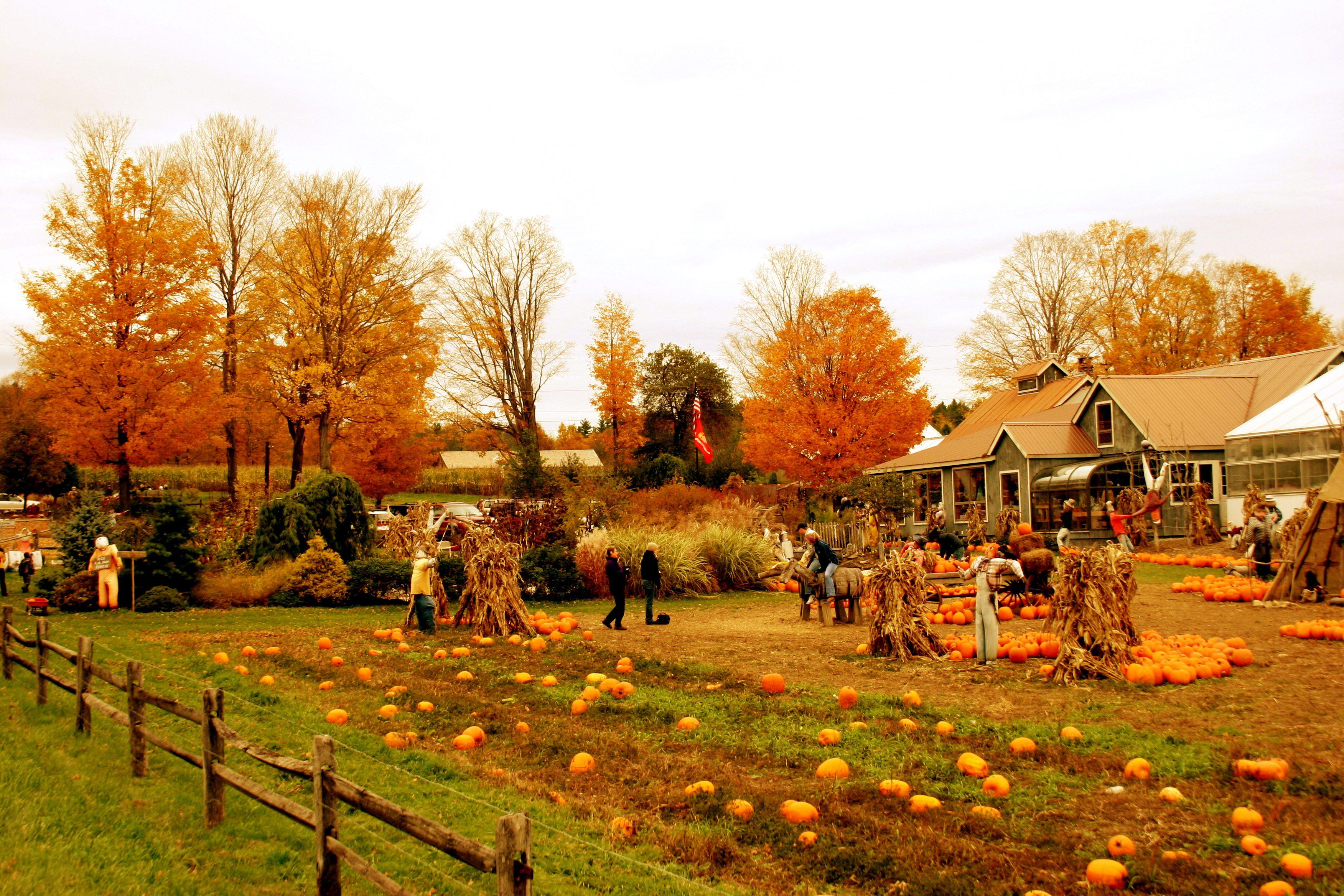 3504x2336 Vermont Autumn Background. Autumn
