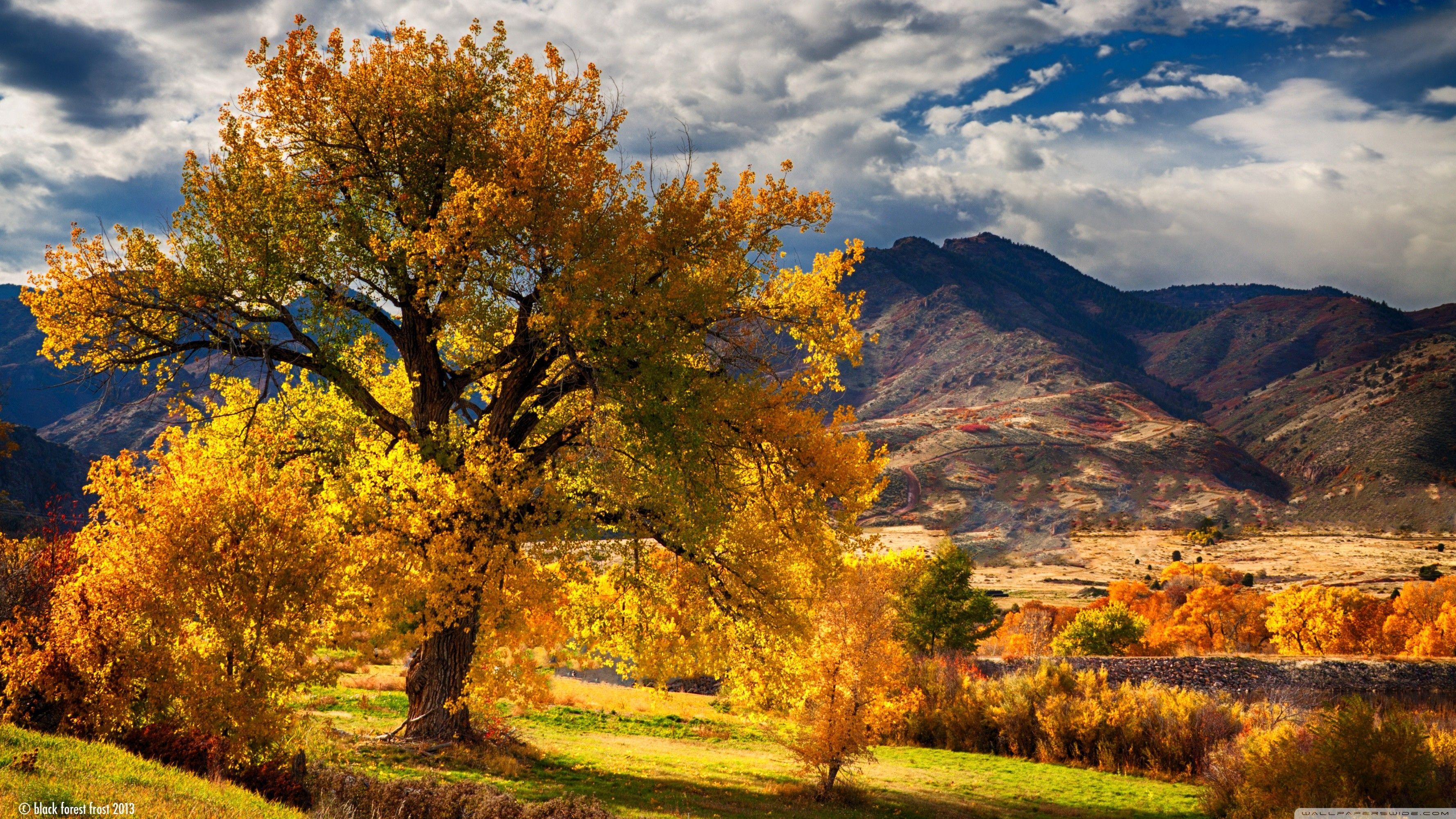 3554x1999 Beautiful Autumn Scenery Colorado 4K HD Desktop Wallpaper