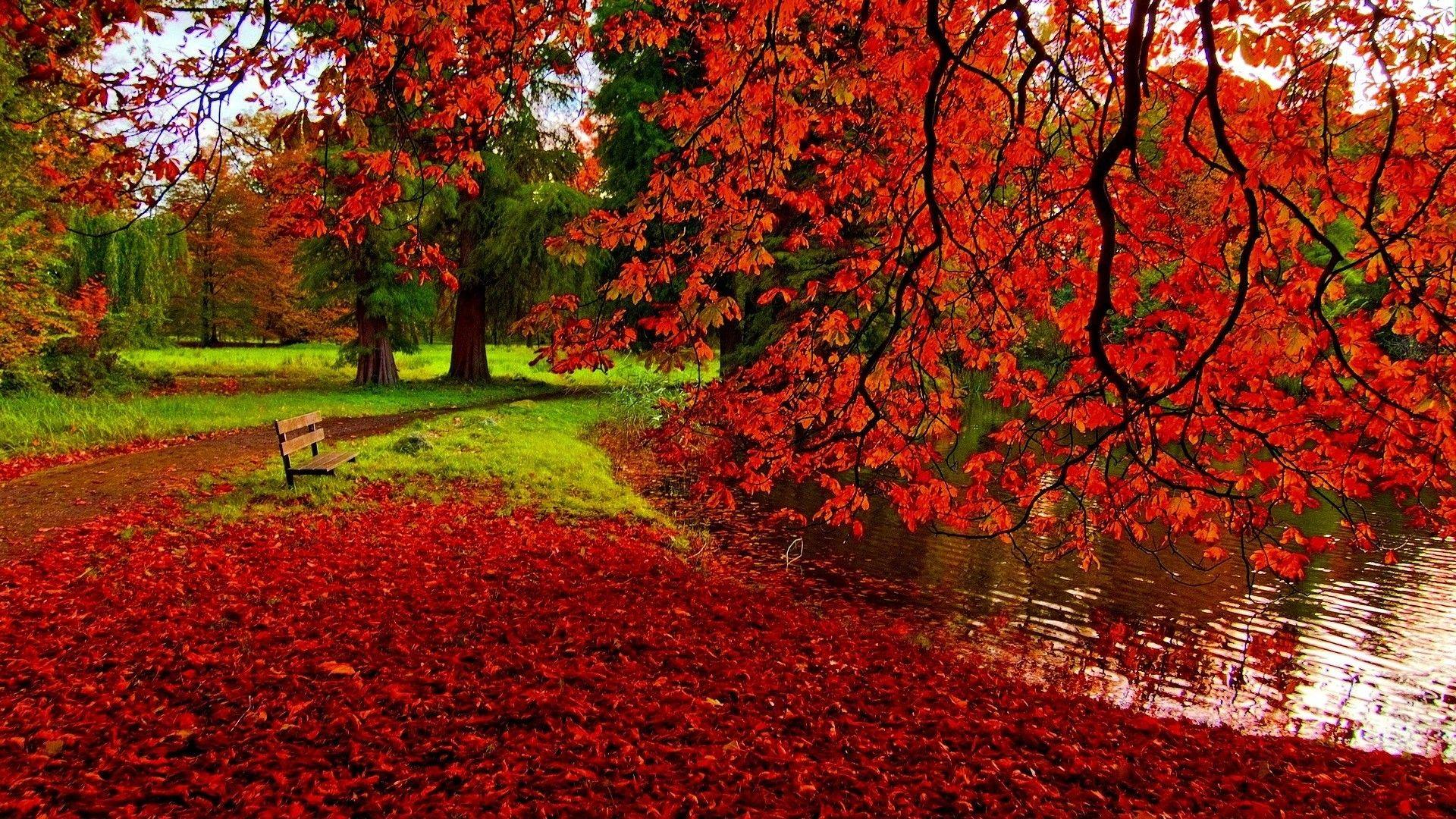 1920x1080 Fall Scenery Wallpaper
