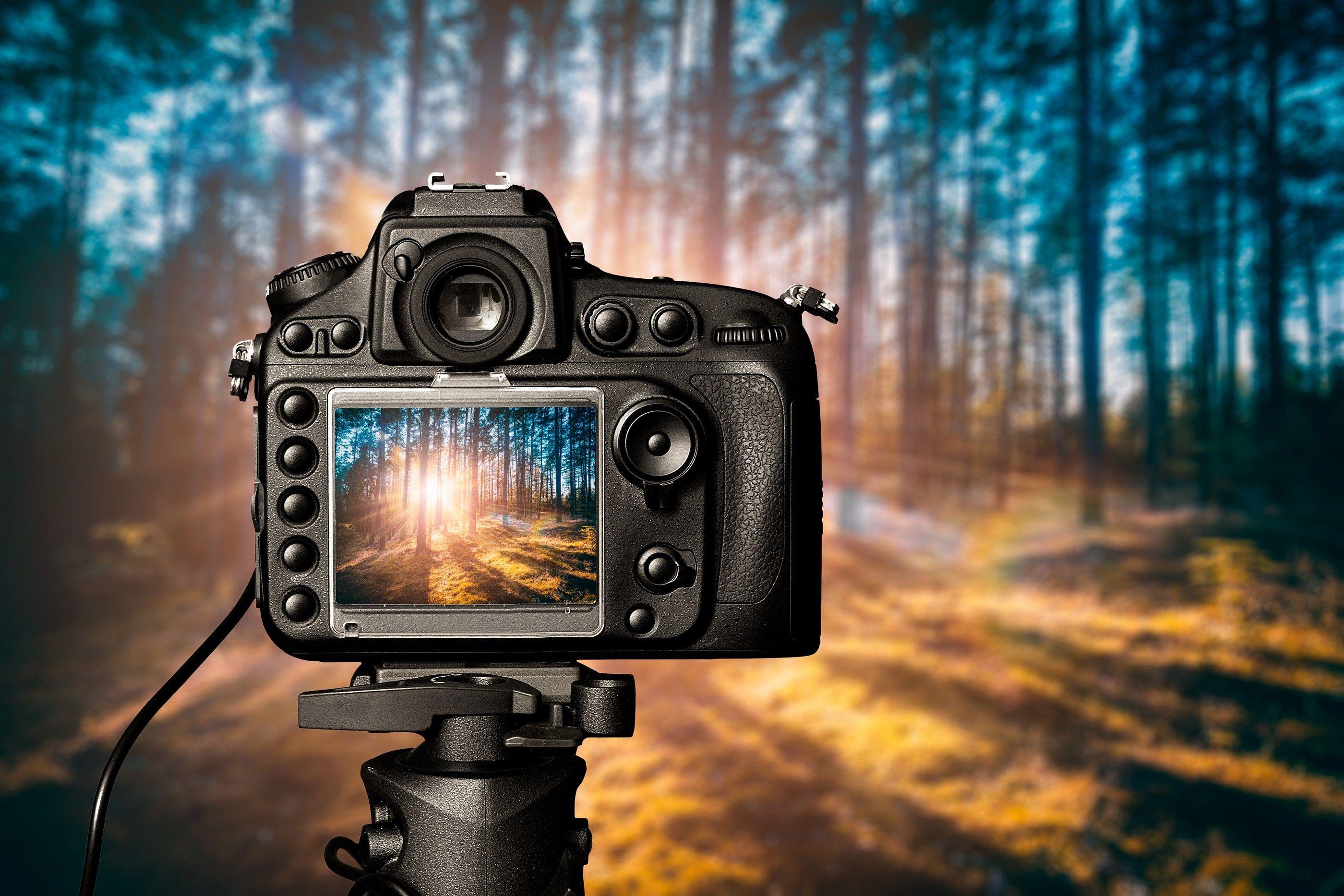 photography background camera