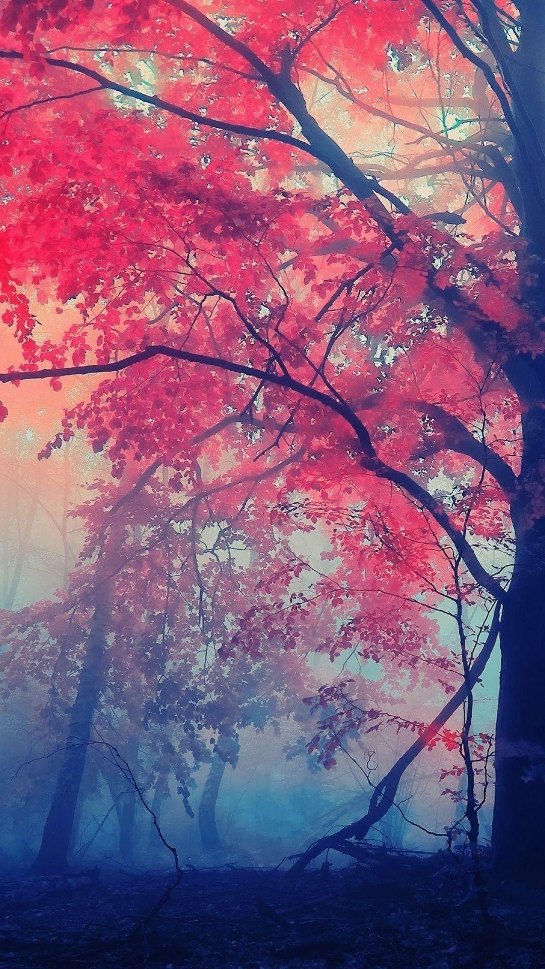 pink autumn background