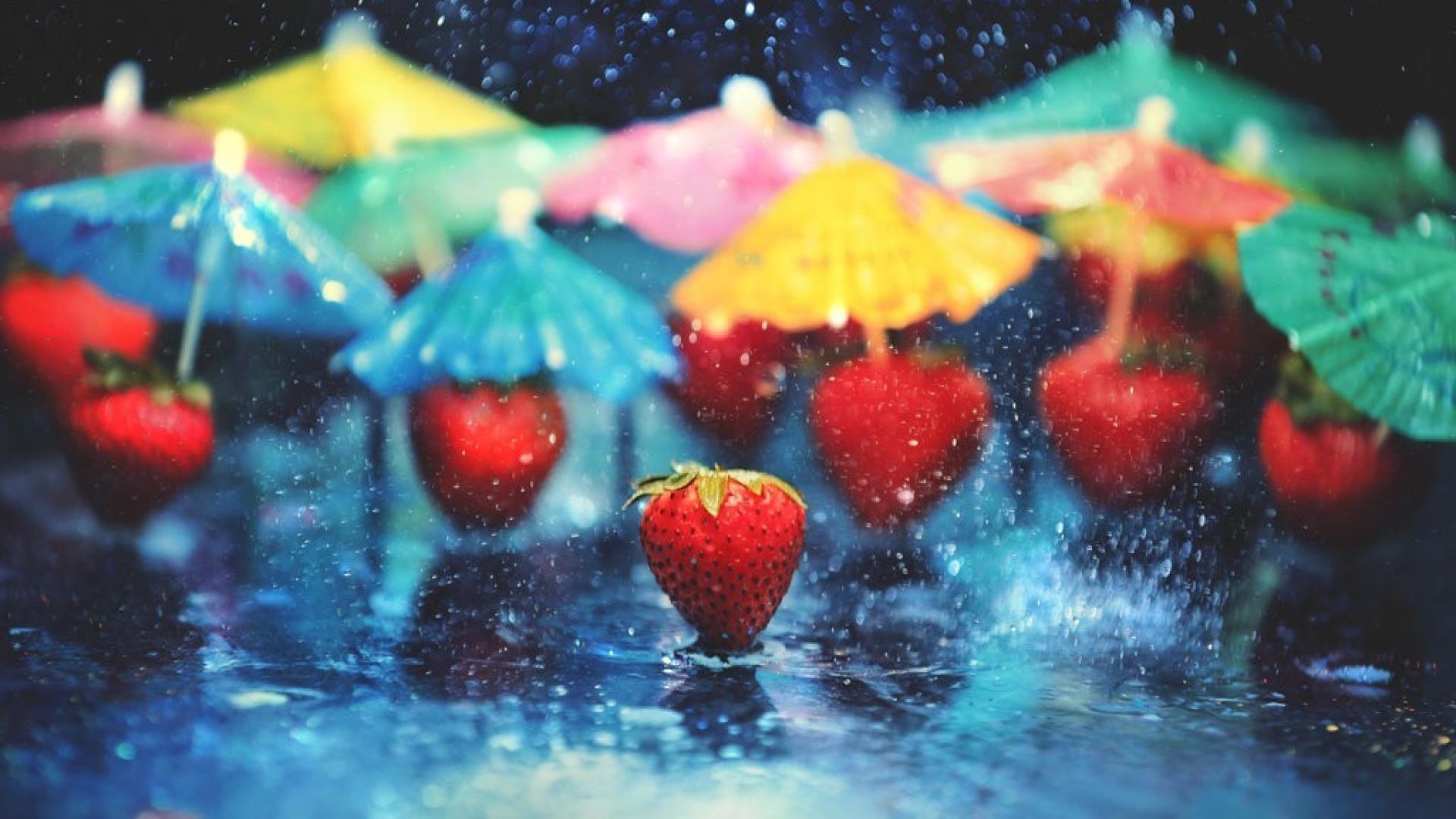 Colorful Umbrella Wallpapers - Top Free Colorful Umbrella Backgrounds