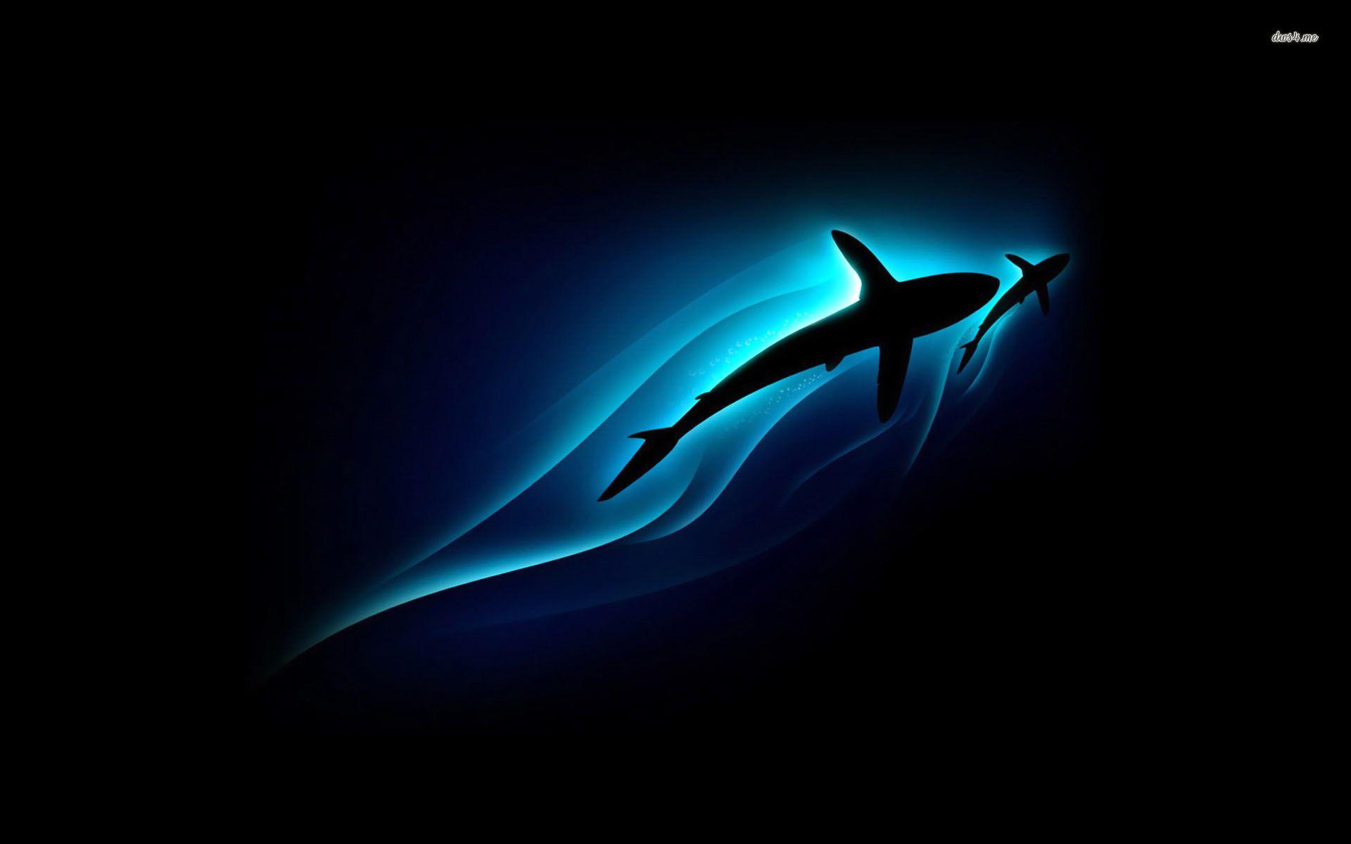 1920x1200 Shark Desktop Wallpaper