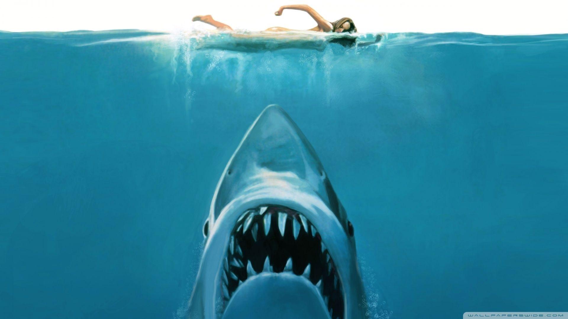 1920x1080 Most Popular Shark Wallpaper HD 1920X1080 FULL HD 1920