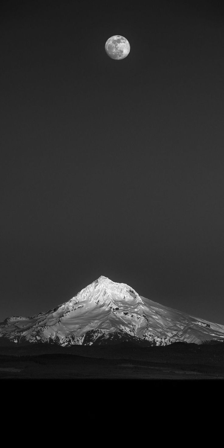 736x1472 To the moon