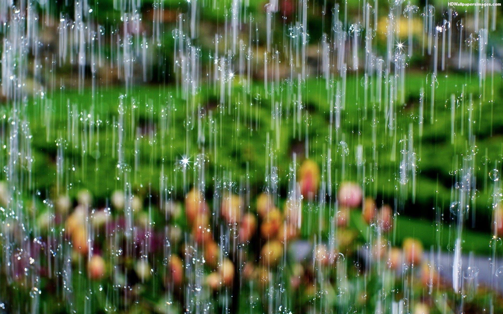 1920x1200 Cận cảnh Giọt mưa Hình ảnh mùa mưa tuyệt đẹp Hình nền HD