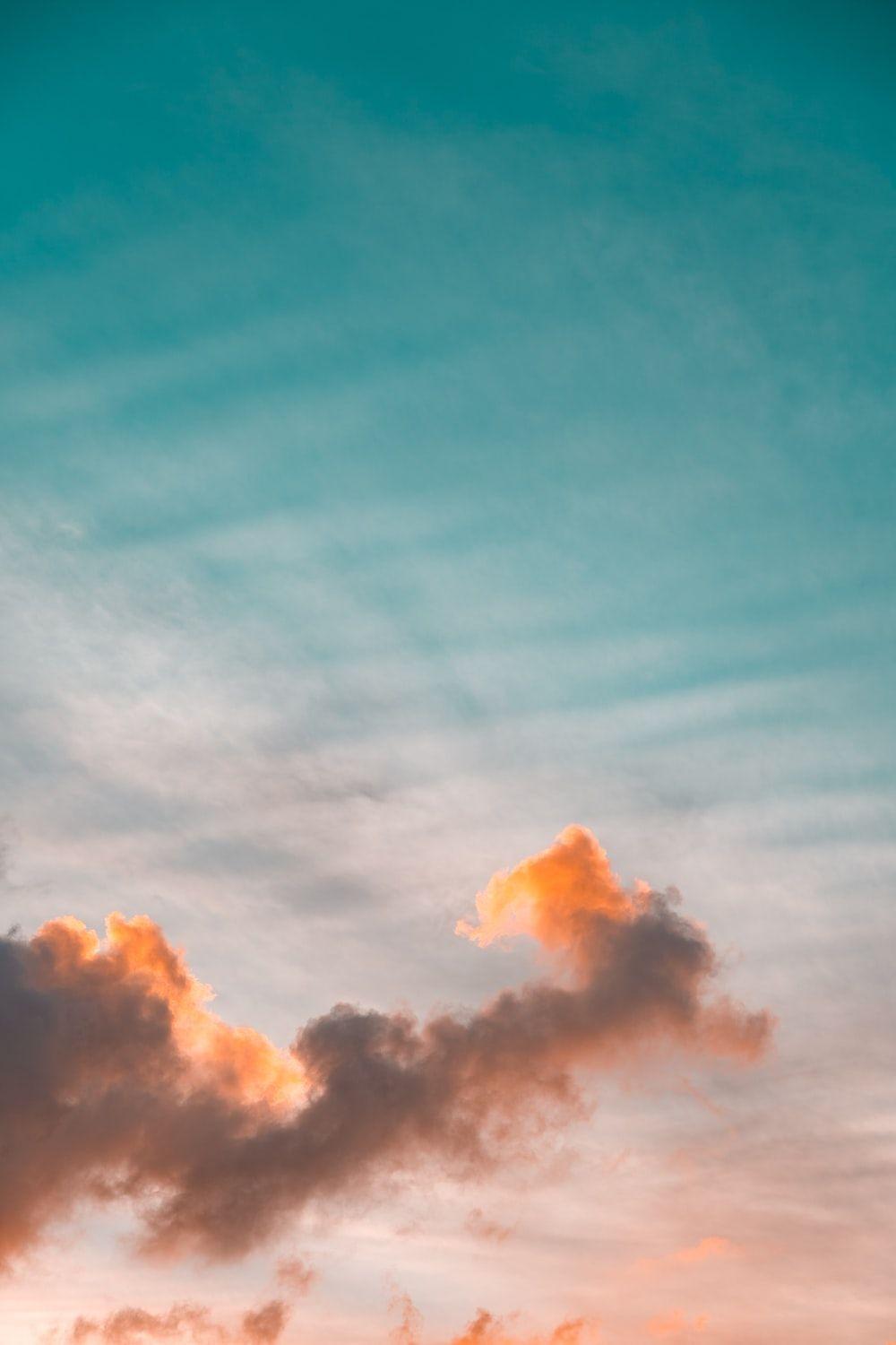 1000x1500 Teal Wallpaper: Free HD Download [HQ]