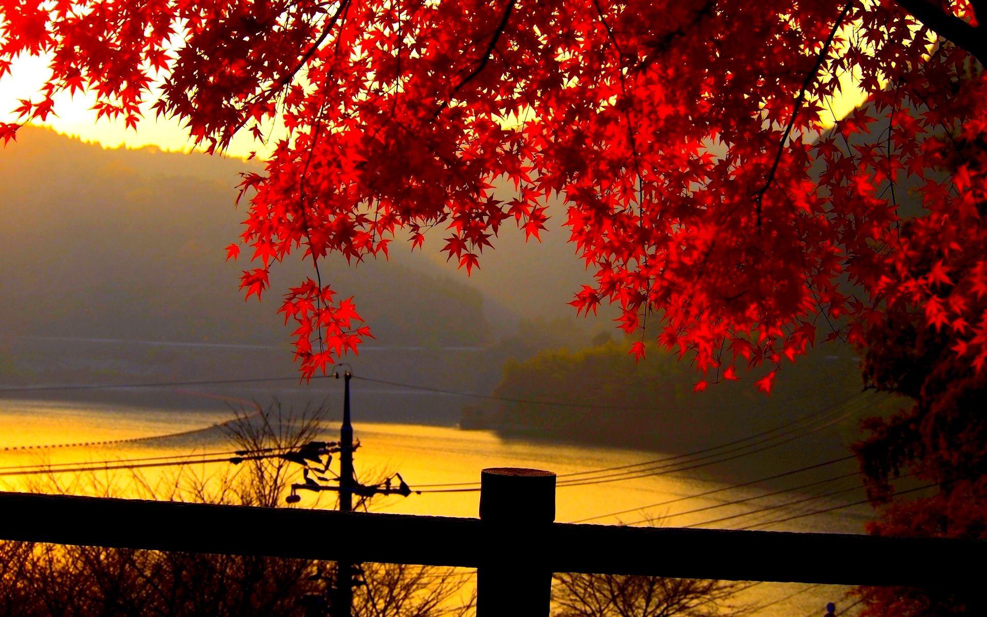 1920x1200 Windows Autumn Desktop Wallpaper