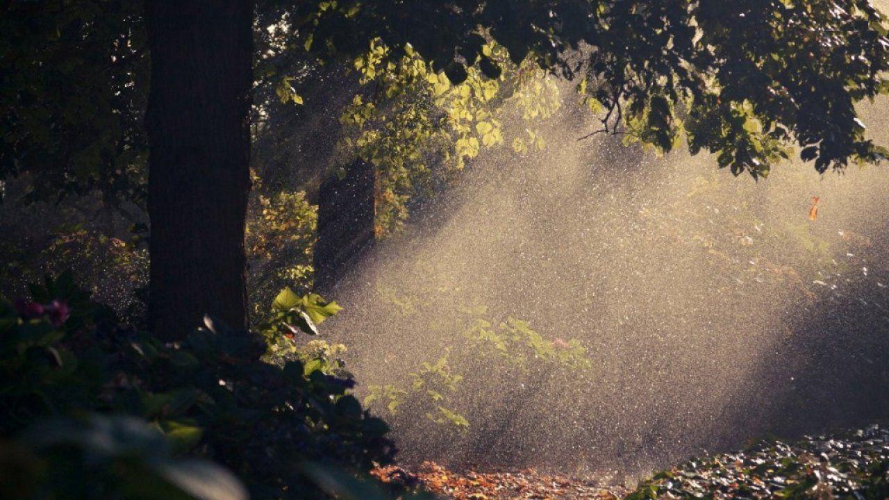 1280x720 Nature, Summer, Rain, High, Definition, Desktop, Background