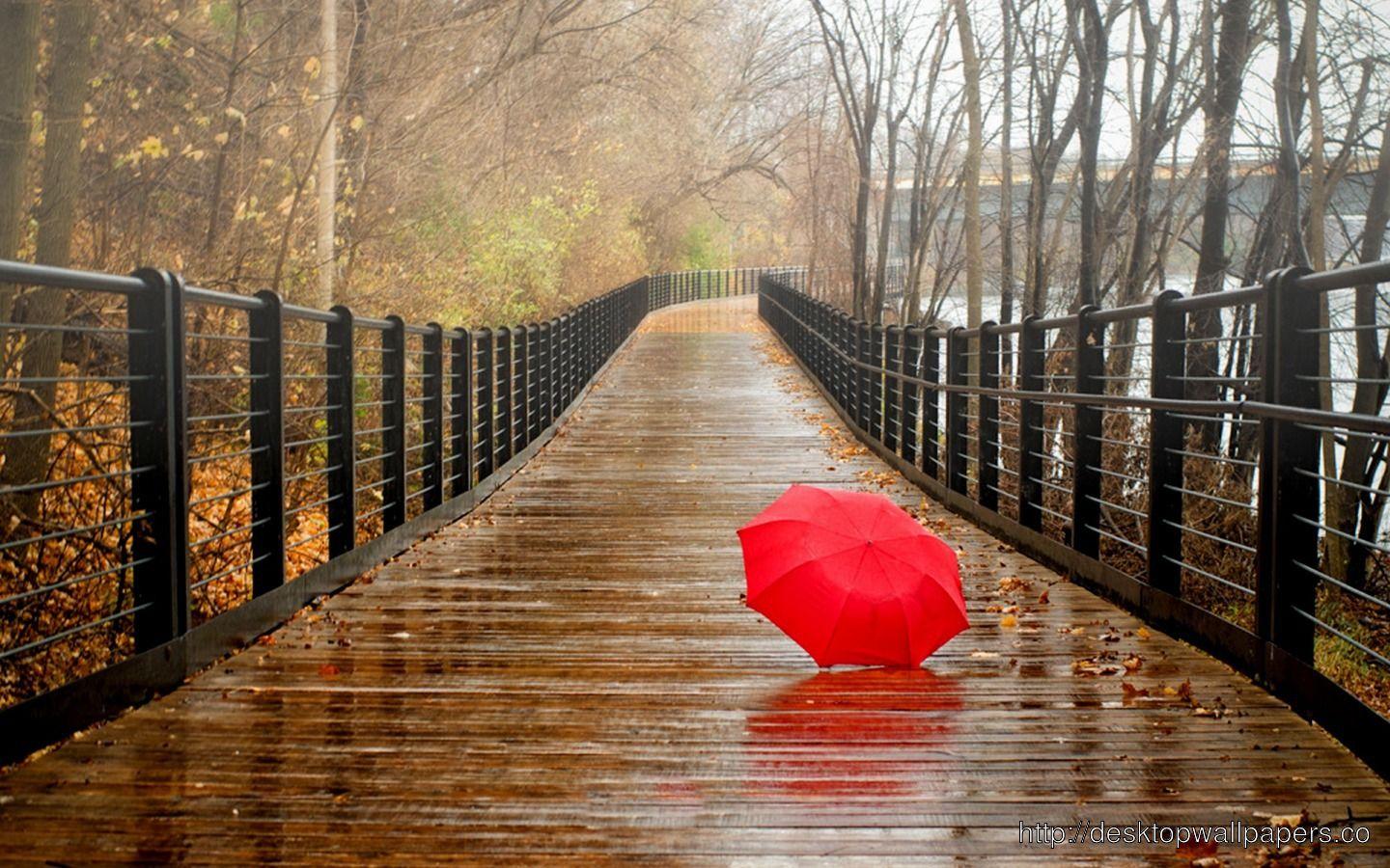 1440x900 Free download rainy day HD wallpaper Desktop Wallpaper