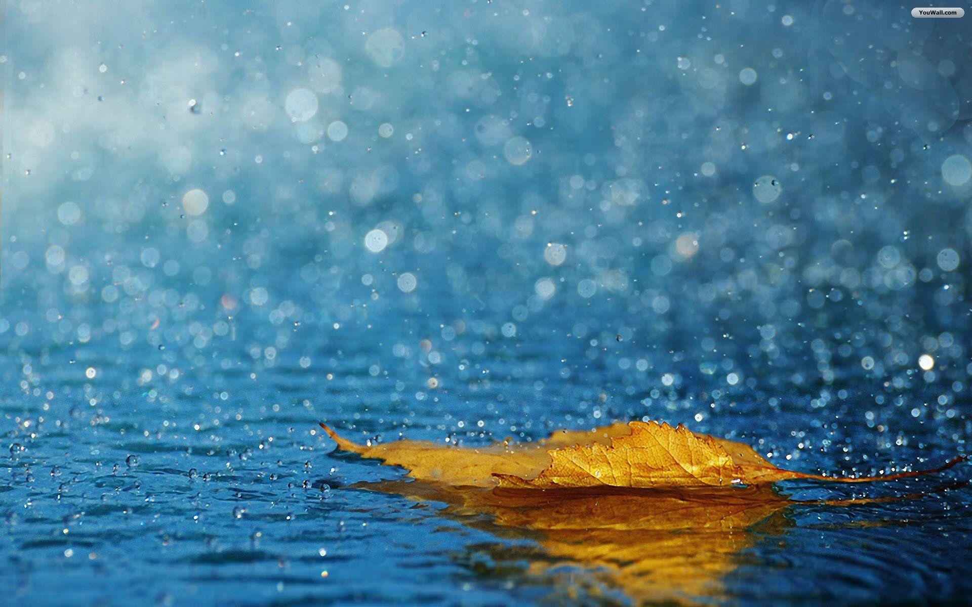 1920x1200 Amazing Rainy wallpaperx1200