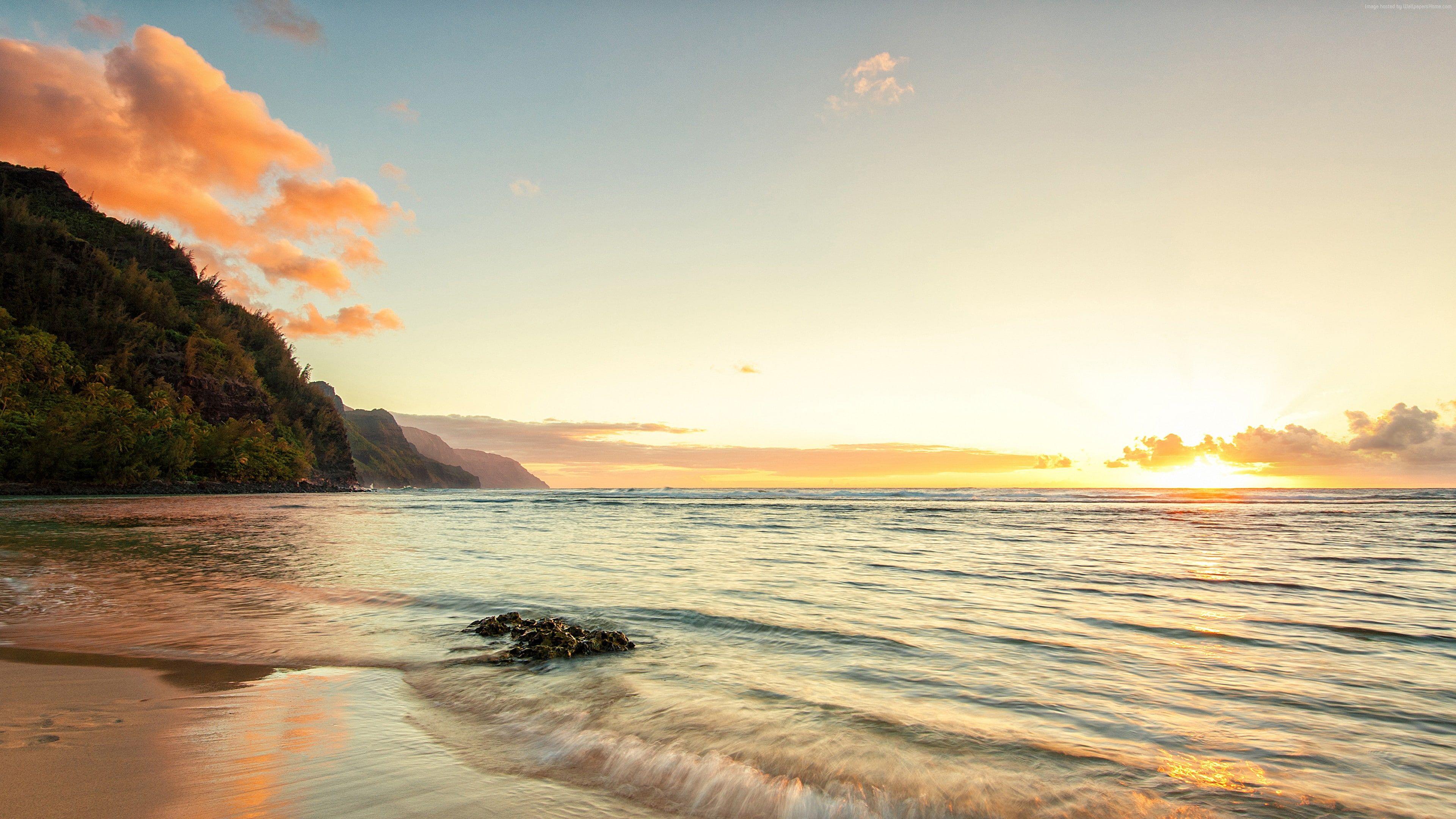 3840x2160 HD wallpaper: united states, lahaina, 1506 malo st, holding