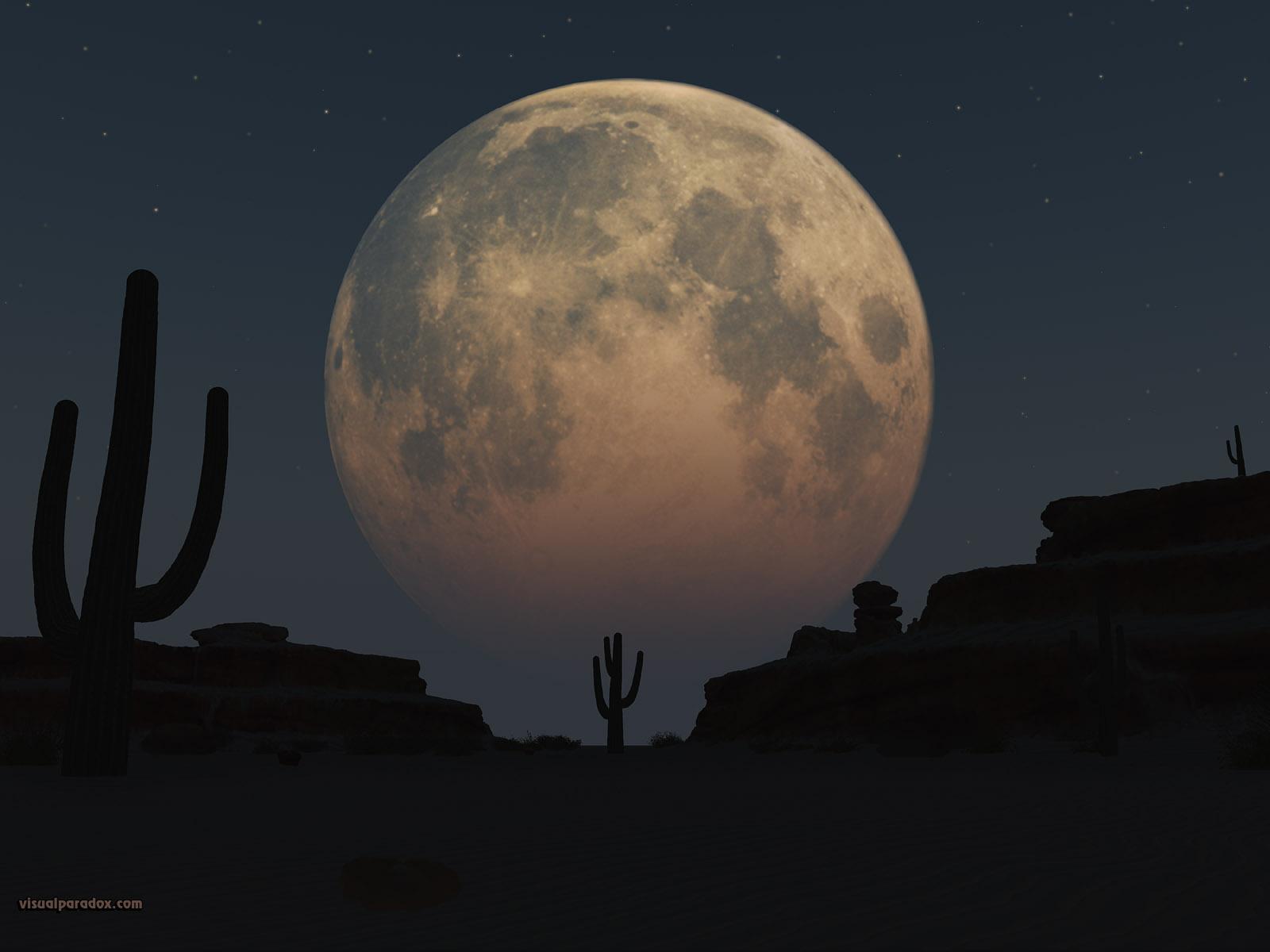 Look at the moon. Луна в пустыне. Пустыня ночь Луна. Лунное небо в пустыне. Полнолуние в пустыне.