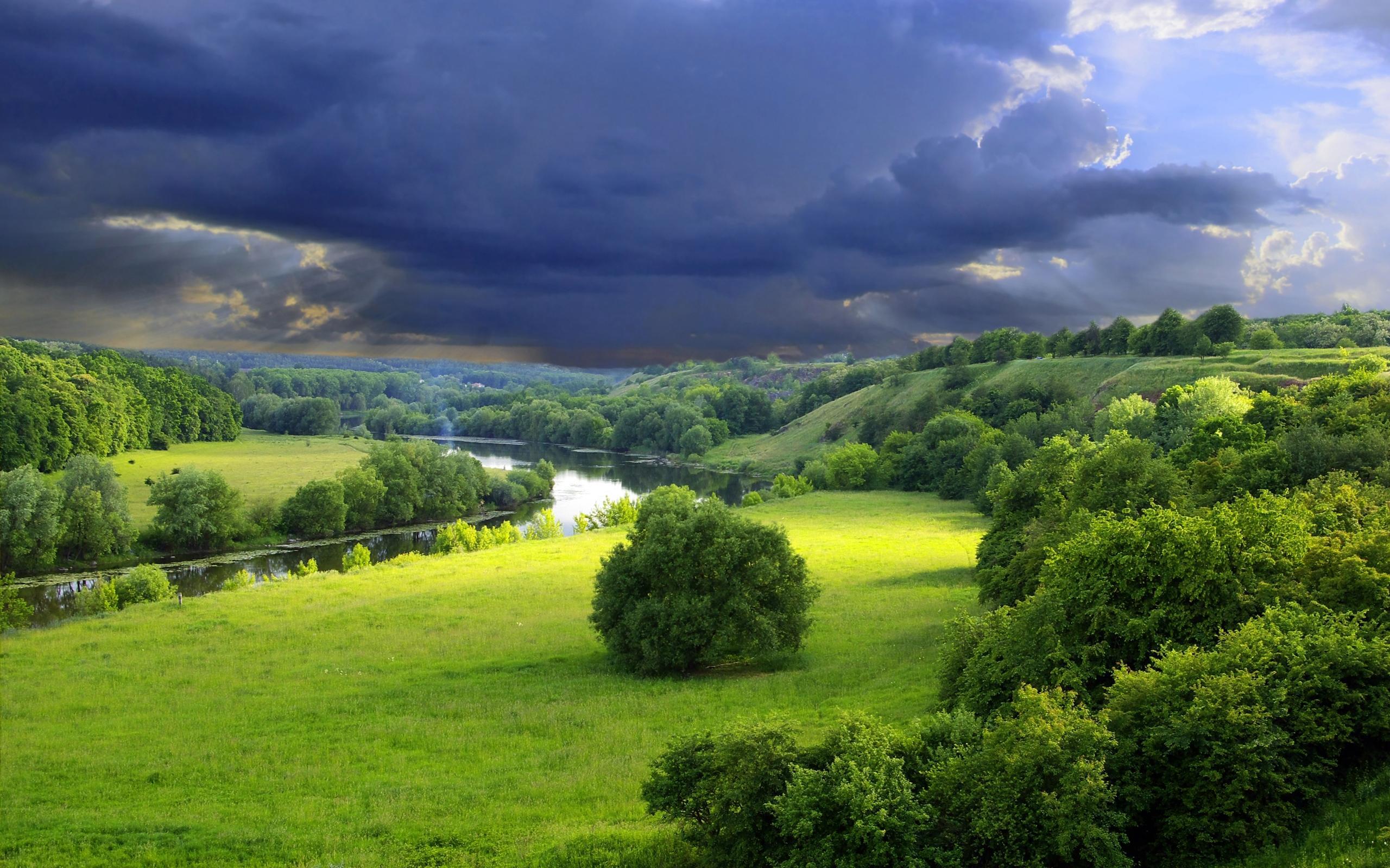 2560x1600 Wallpaper Waiting For The Summer Rain On