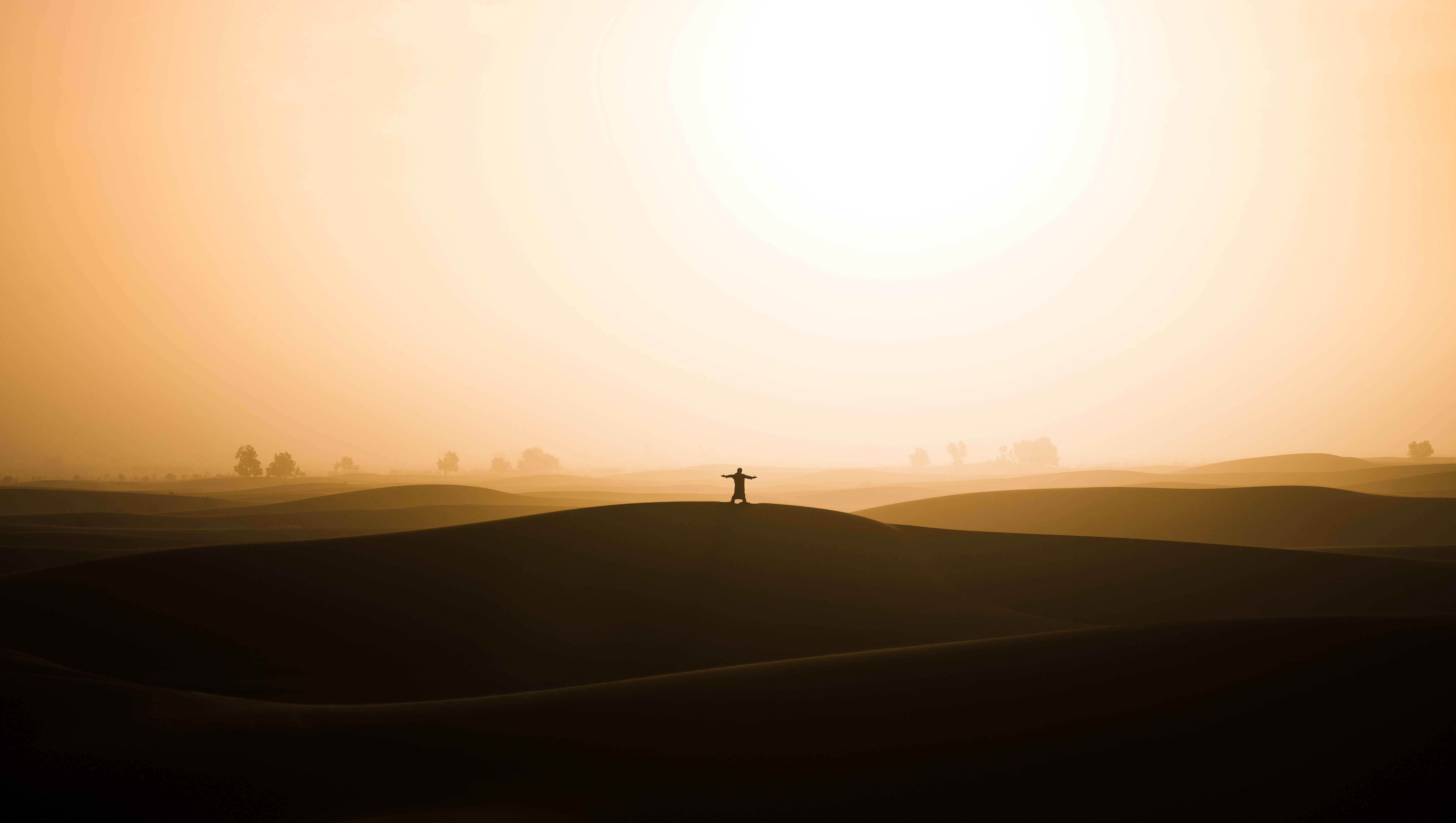 7628x4311 Wallpaper Sun light, Sahara desert, Silhouette, 4K, 8K