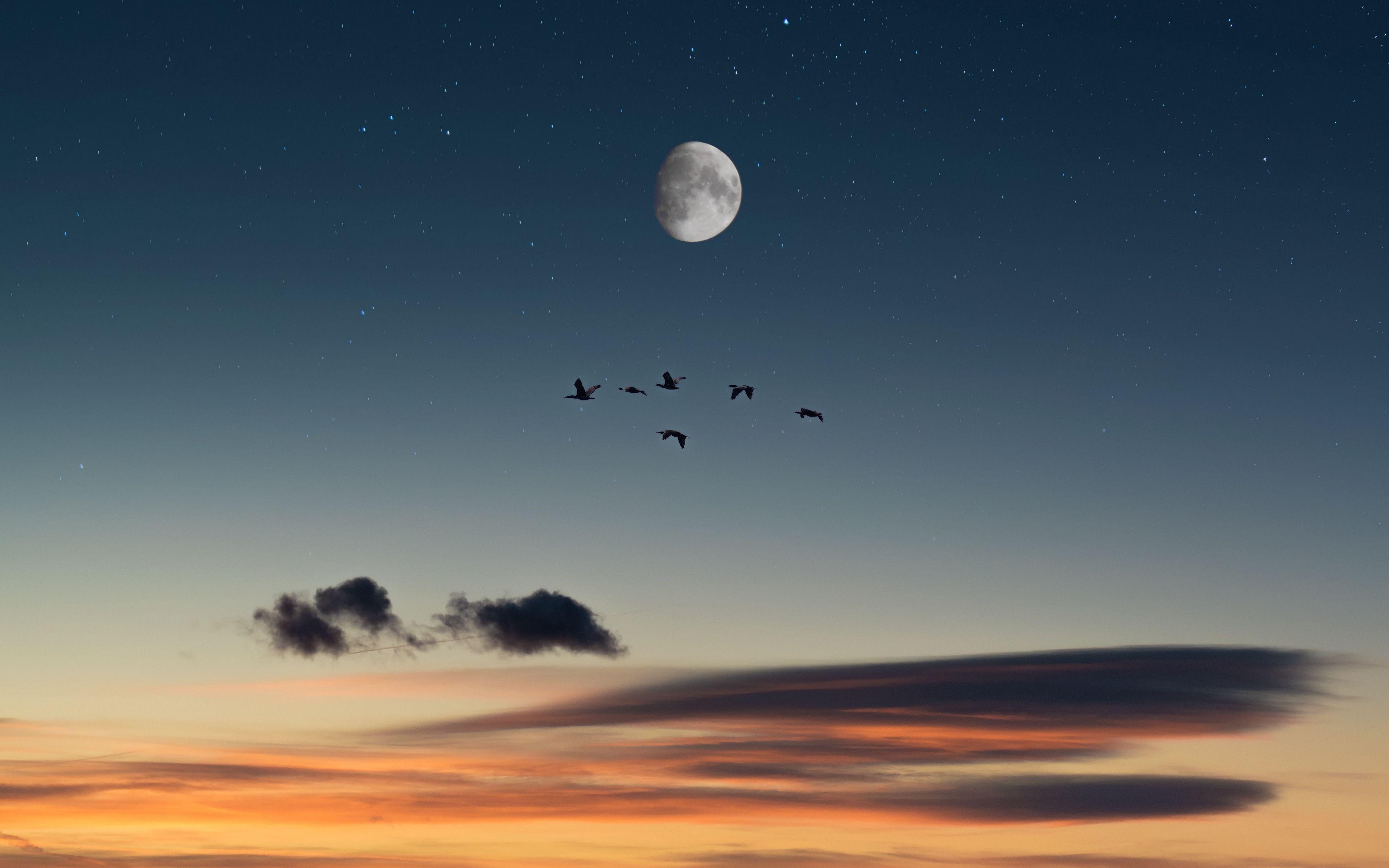3840x2400 Download wallpaper 3840x2400 full moon, birds, desert