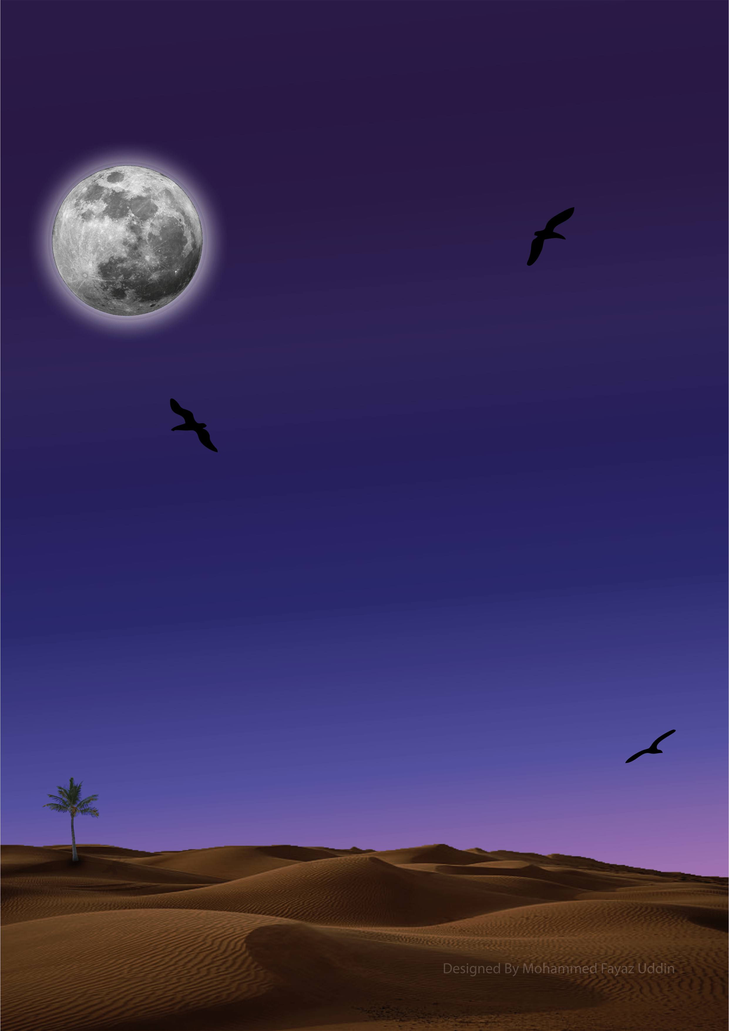 2482x3508 Moon Desert Landscape Wallpaper
