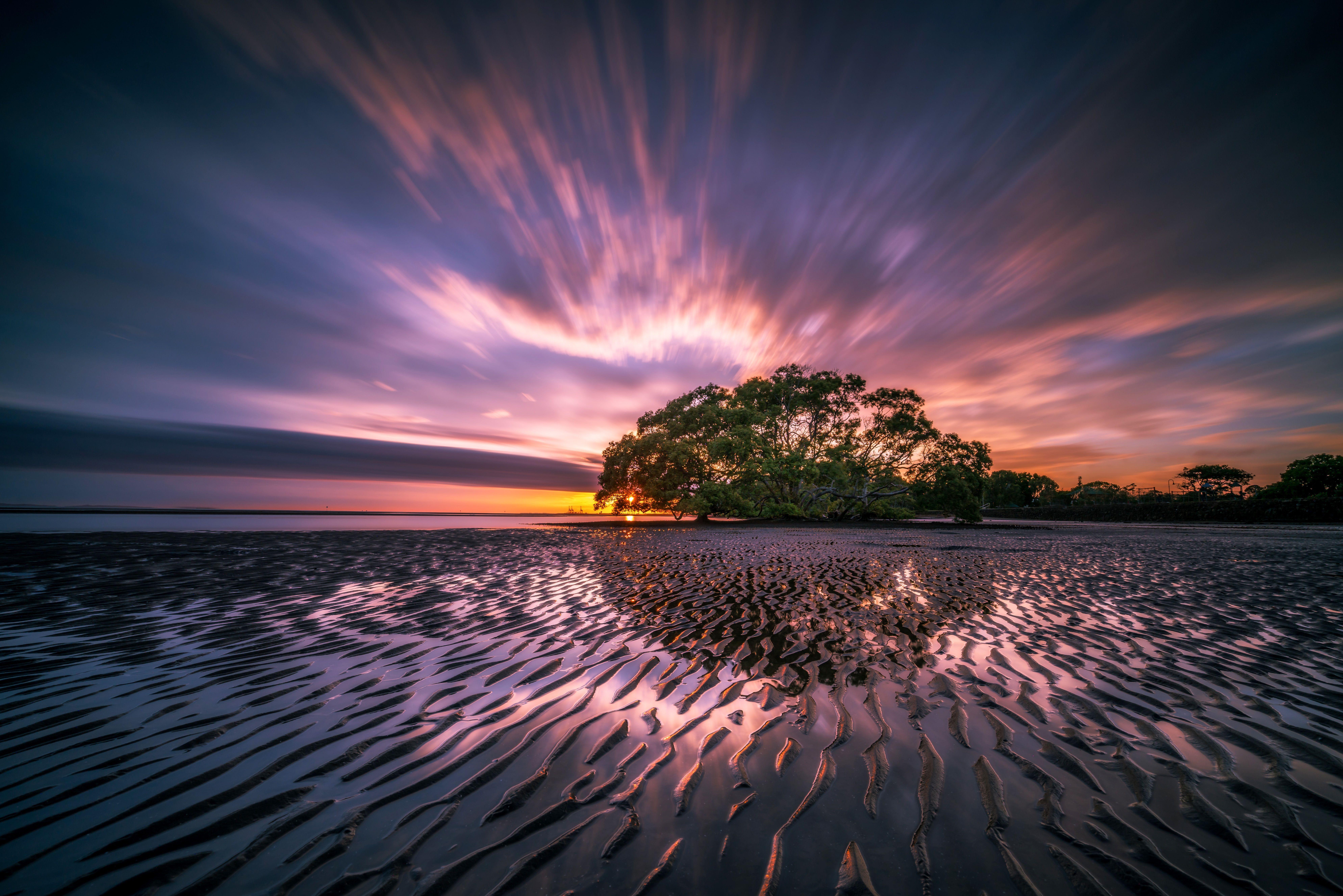 7952x5304 Download wallpaper 7952x5304 tree, sunrise, water, colorful