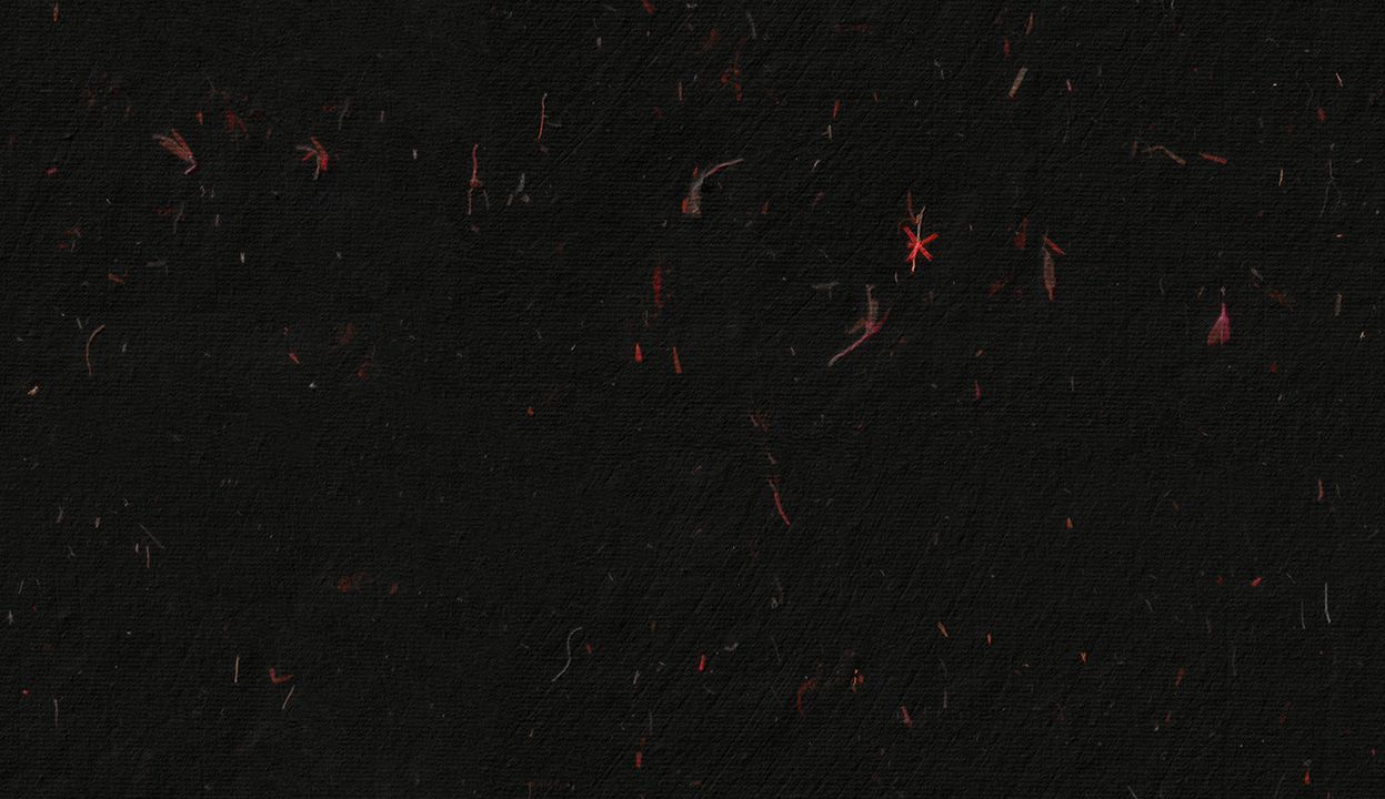 1247x720 Red Flowers Black Paper Texture