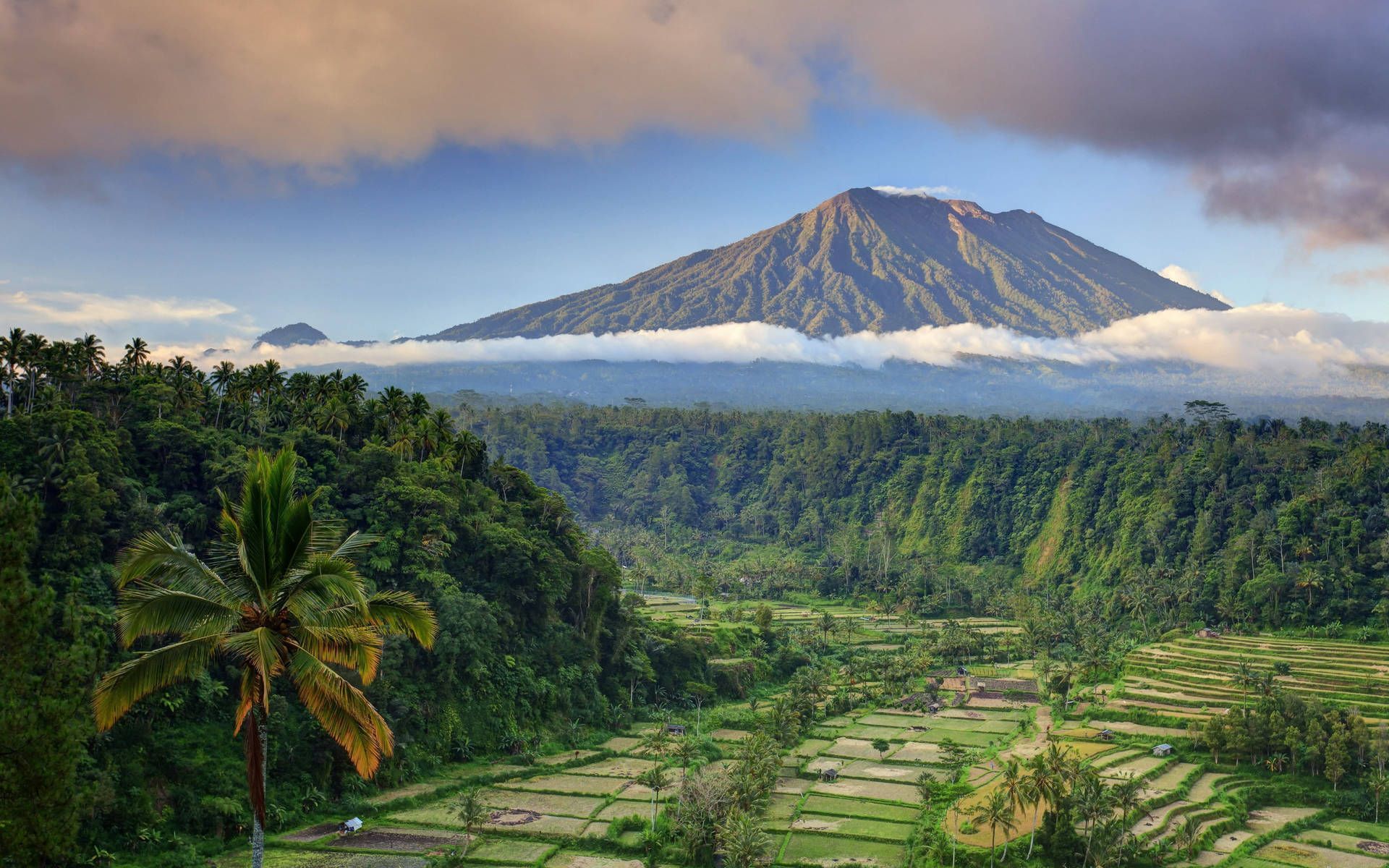 1920x1200 Download Rendang Rice Terraces Bali