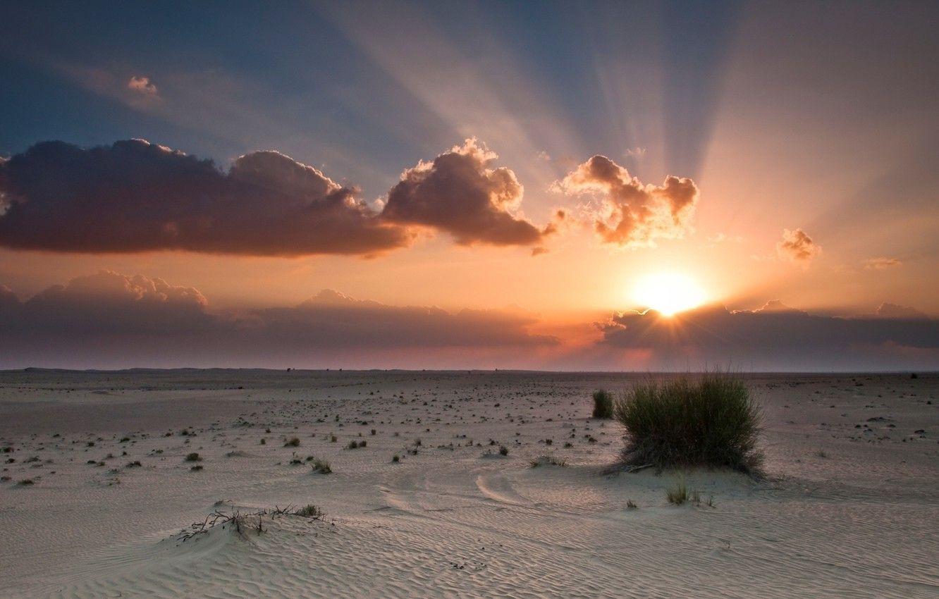 1332x850 Wallpaper the sky, the sun, clouds, sunset, orange, blue, desert, Bush, desert, sunset, clouds, sand, sunlight, bush, sun rays, sunset Wallpaper image for desktop, section природа