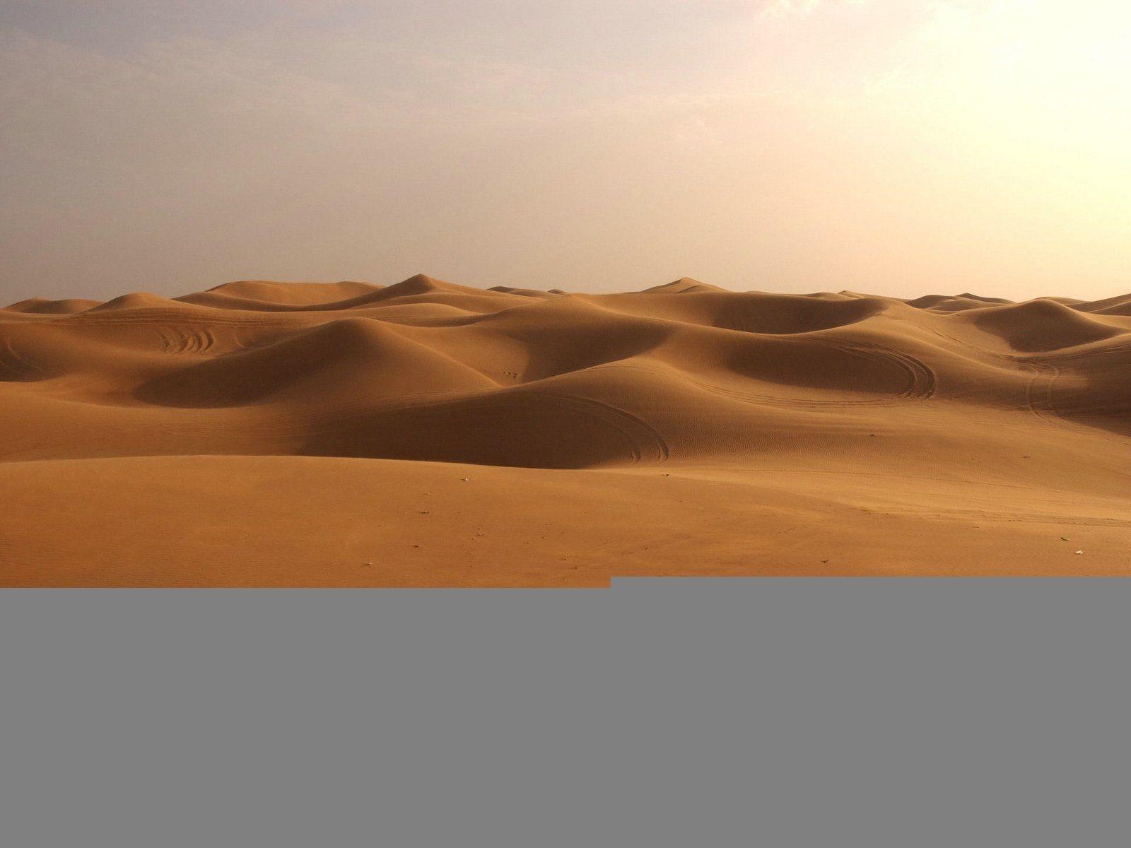 1600x1200 Desert Wallpaper and Background Imagex1200