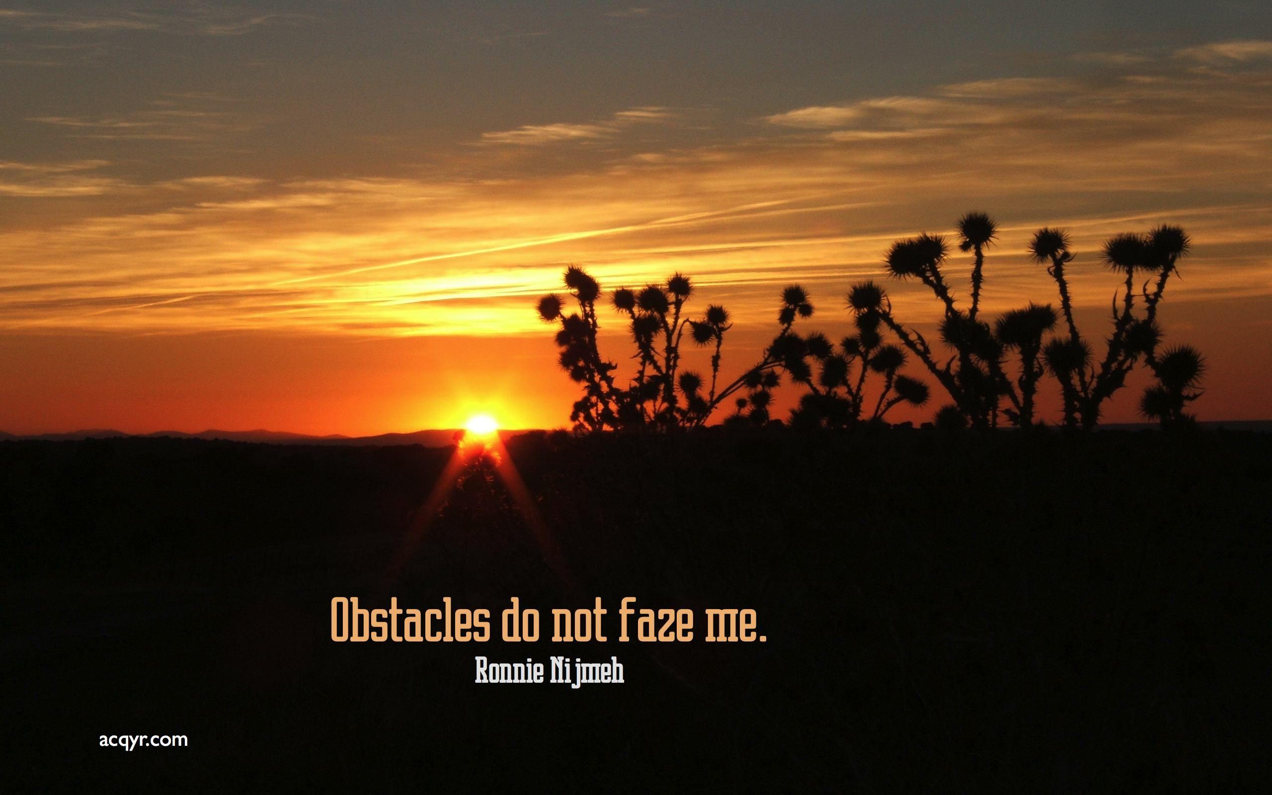 2560x1600 Setting Sun in the Desert Wallpaper
