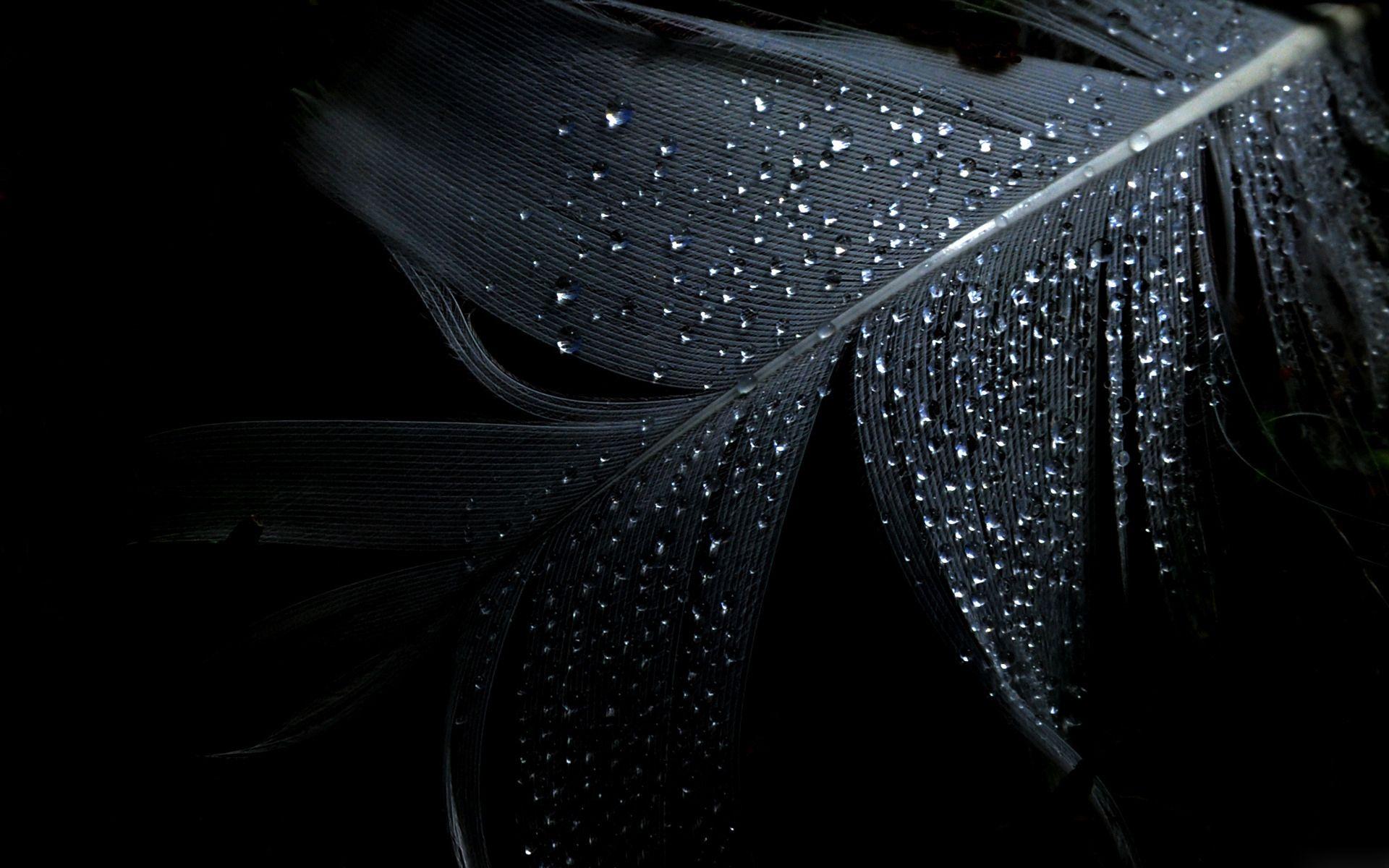 1920x1200 HD widescreen desktop photo background full HD 1080p