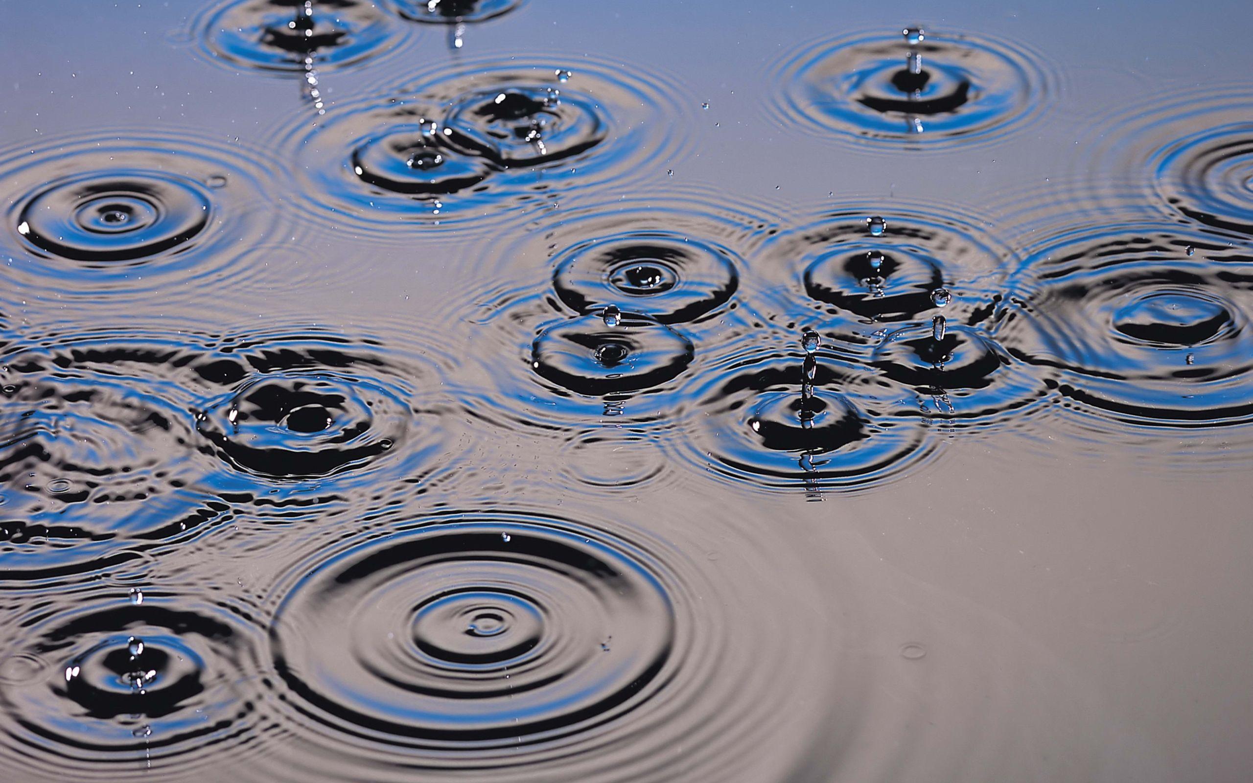 2560x1600 Raindrops HD Wallpaper and Background Image