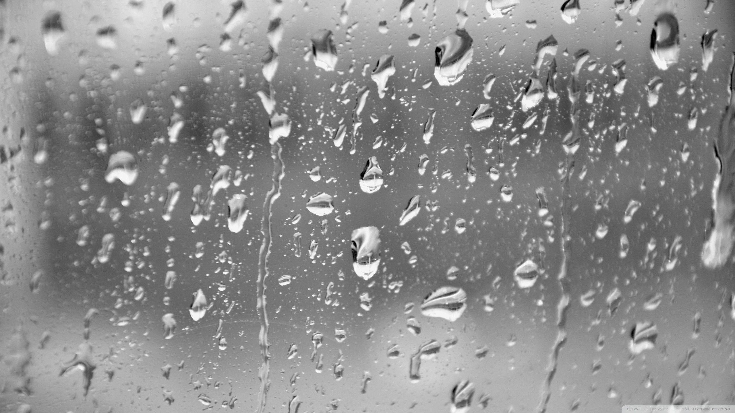 2560x1440 Wallpaper of Raindrops background picture