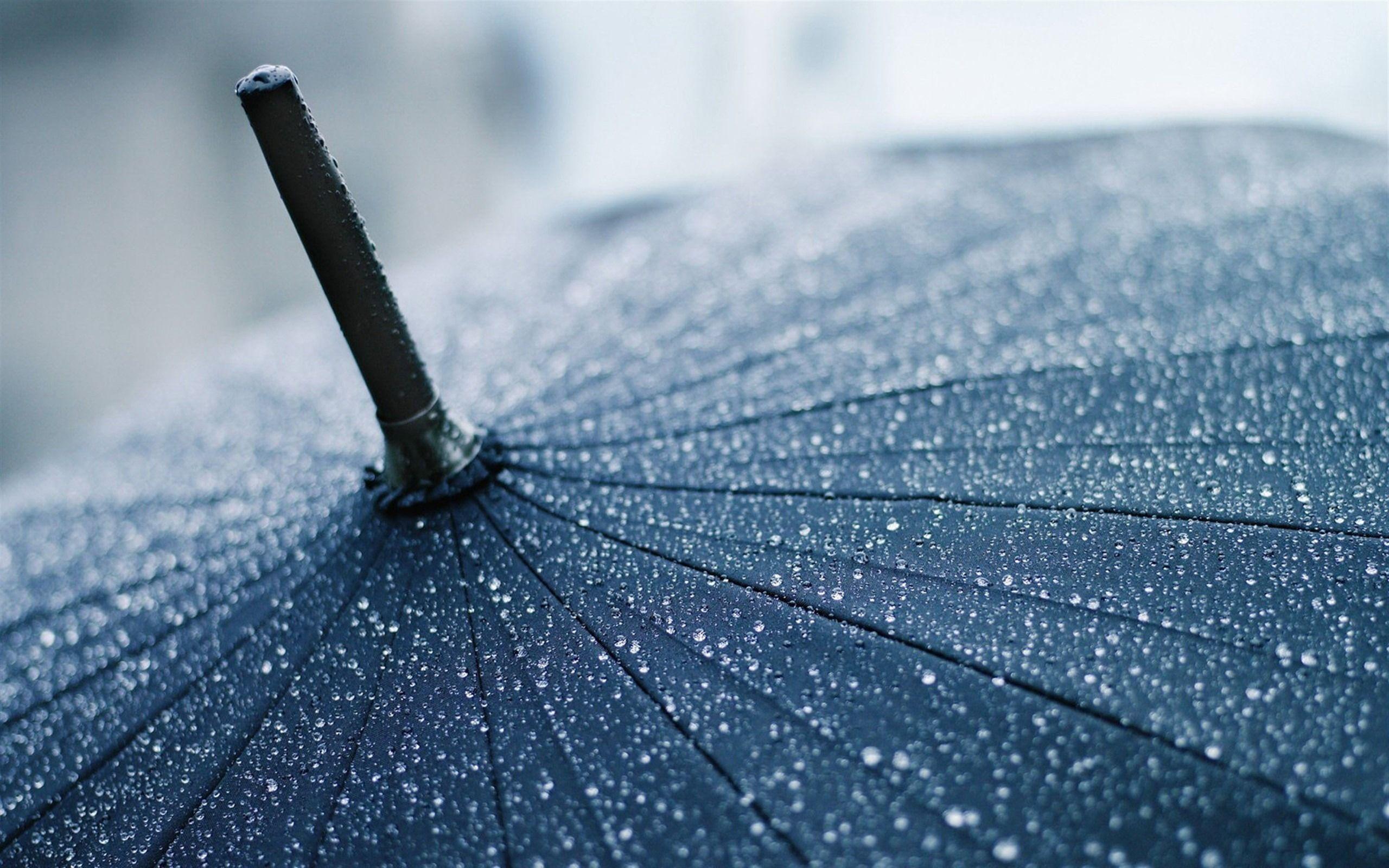 2560x1600 Incredible Wallpaper Attractive Raindrop Background