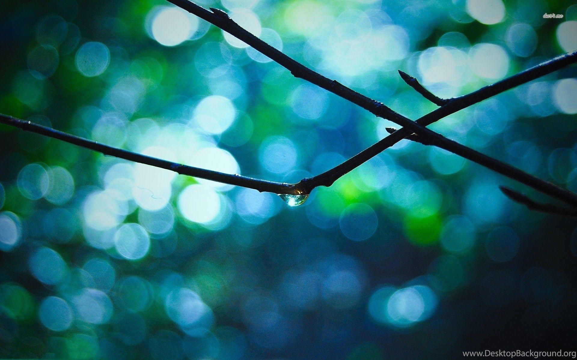 1920x1200 Top Raindrop Desktop Wallpaper Wallpaper Desktop Background