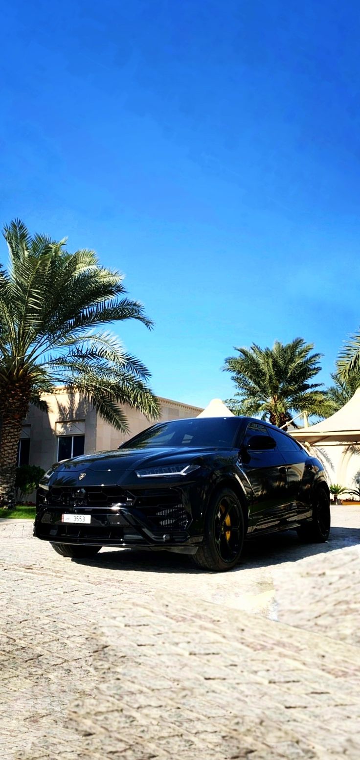 736x1553 Black Urus Wallpaper