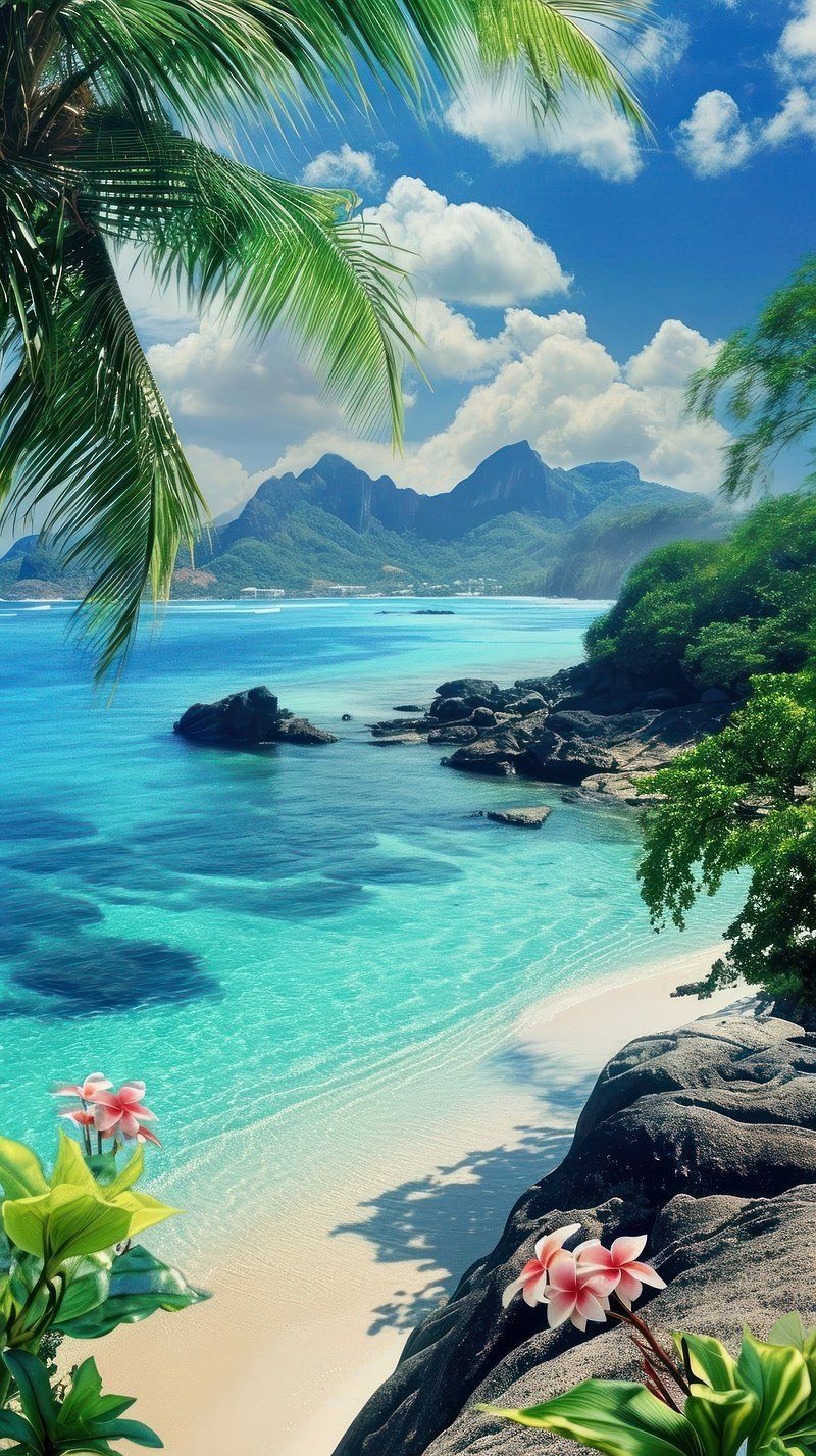 800x1427 iPhone Wallpaper Beach. Free Aesthetic