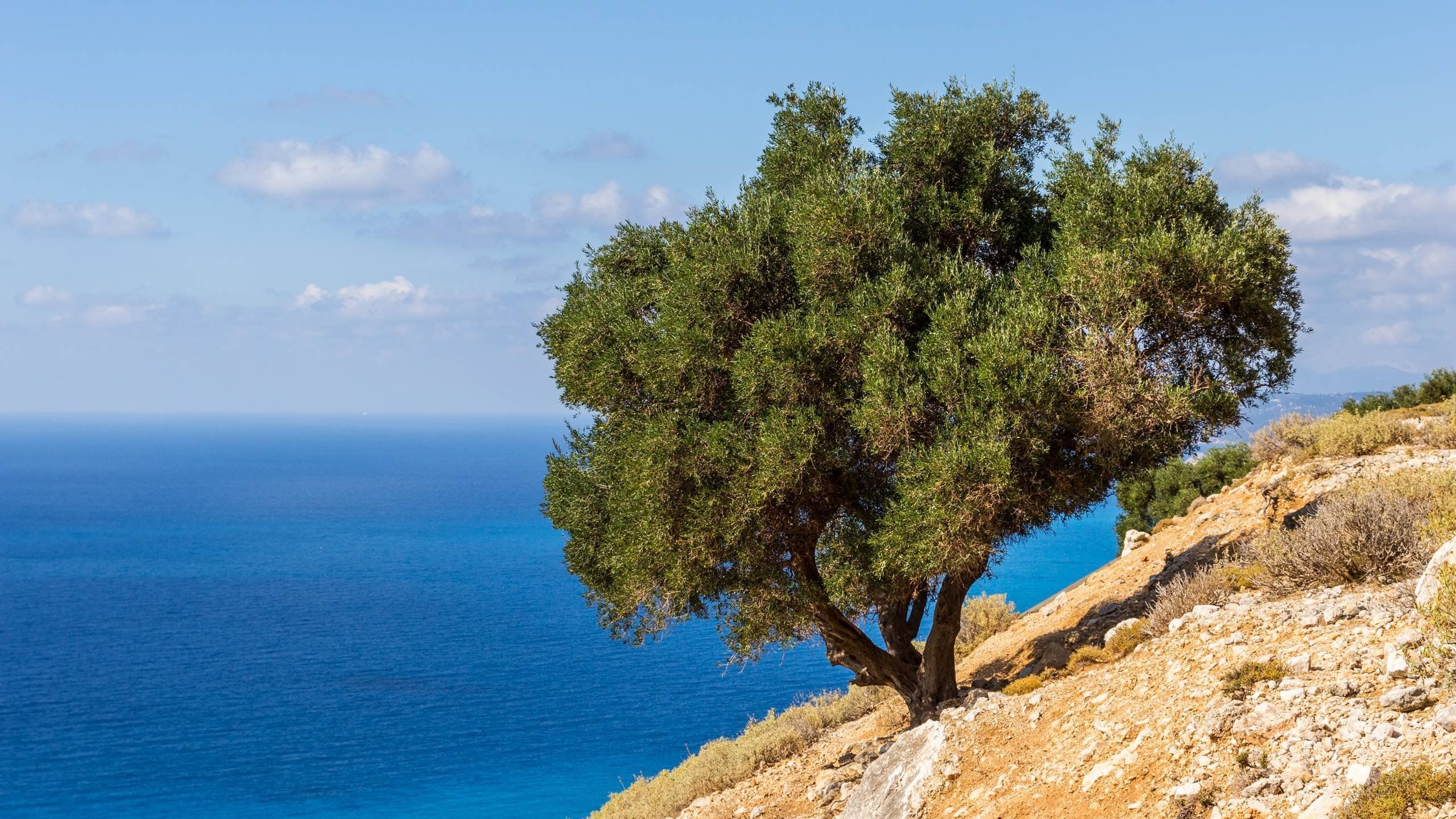 2560x1440 Kefalonia Wallpaper