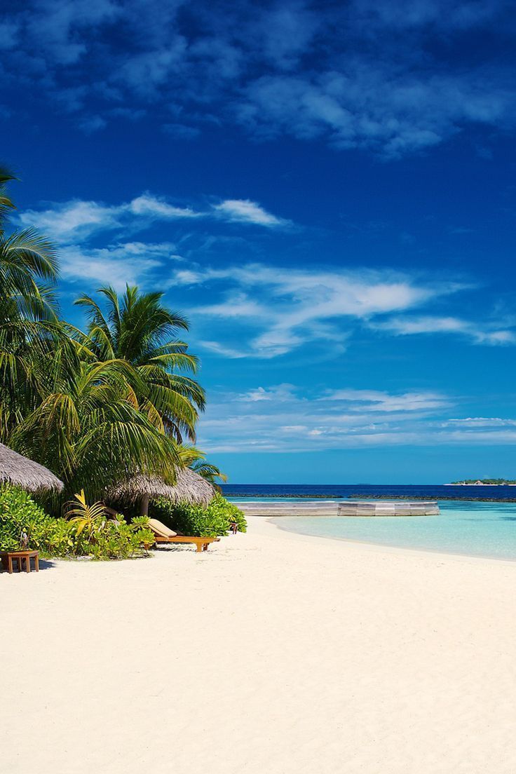 736x1104 Beautiful beach nature and blue sky HD mobile wallpaper