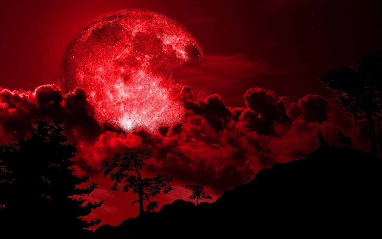 Hình nền chó sói 1280x800 hú trên mặt trăng đỏ
