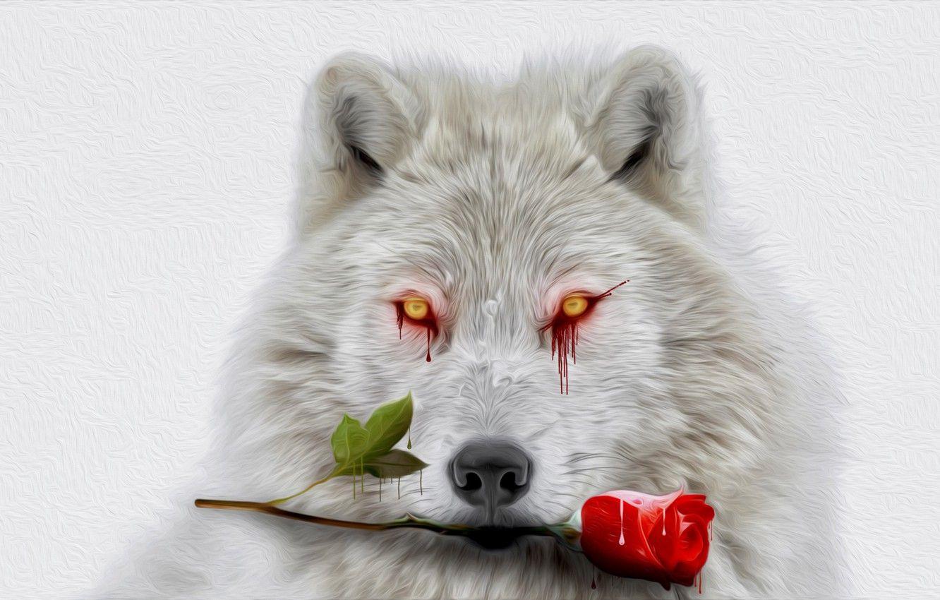 1332x850 Wallpaper white, eyes, blood, rose, wolf image for desktop