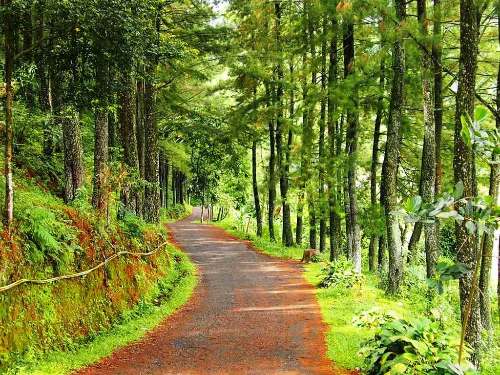 1024x768 wallpaper pemandangan kota