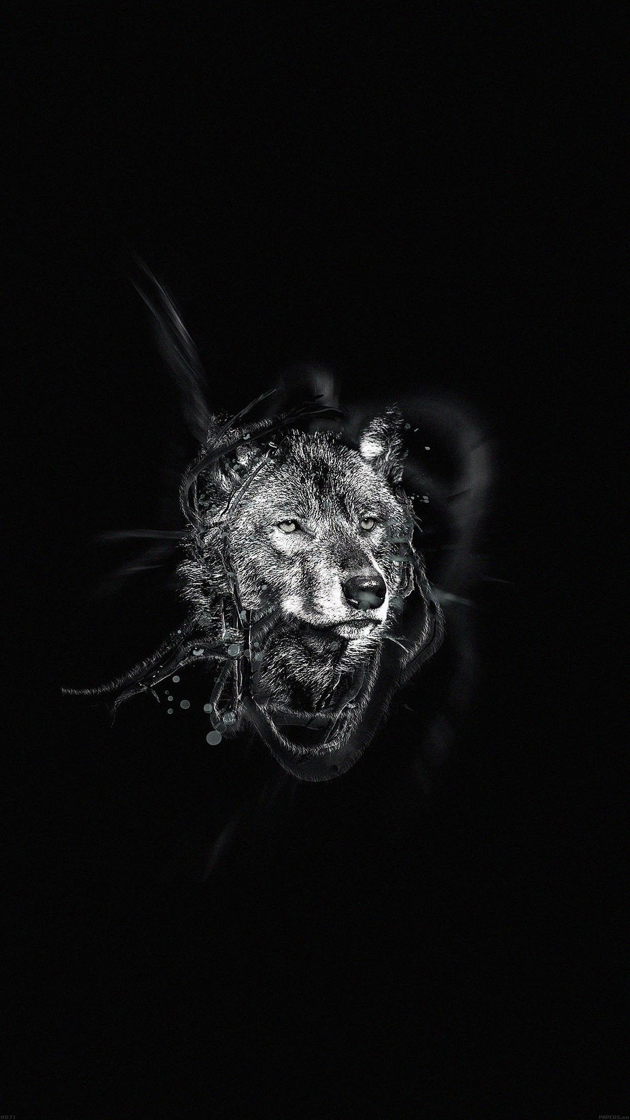 1242x2208 Dark Wolf Wallpaper