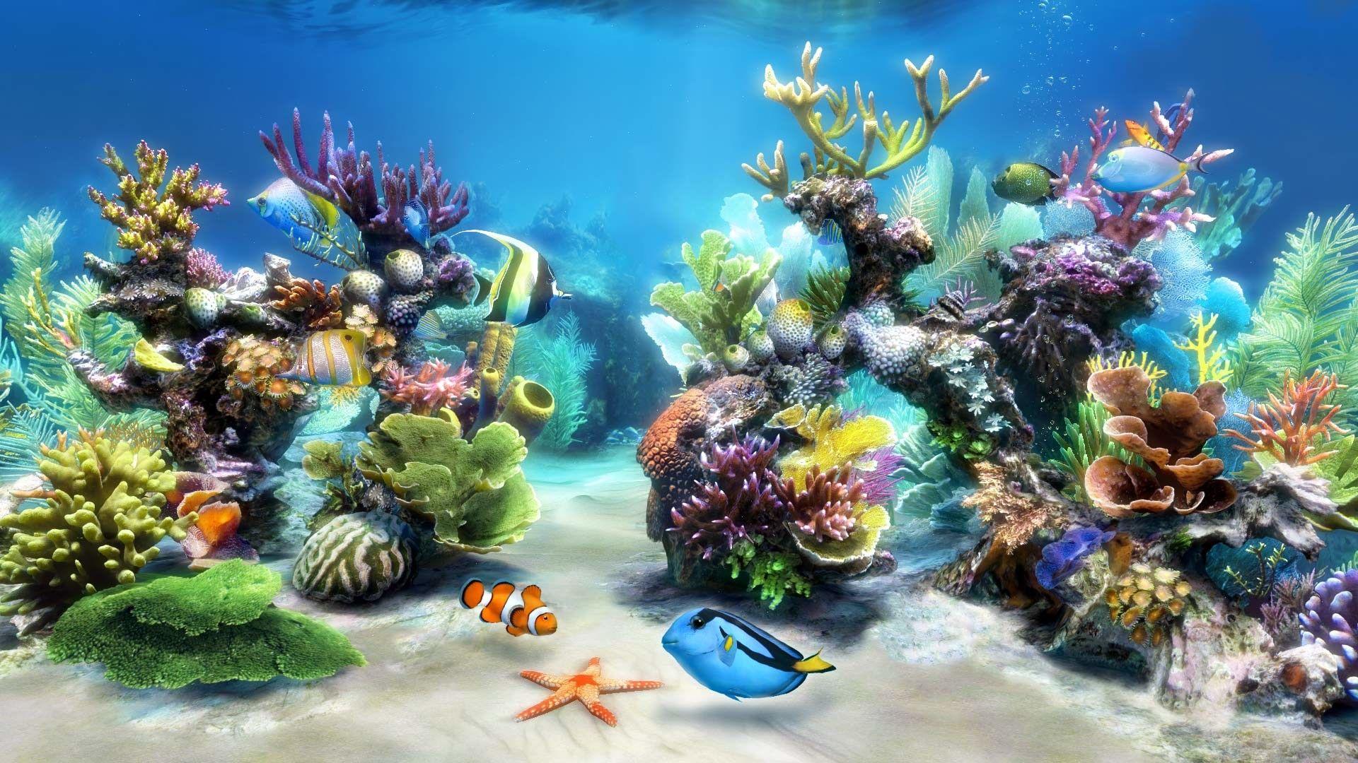 HD Aquarium Wallpapers - bigbeamng
